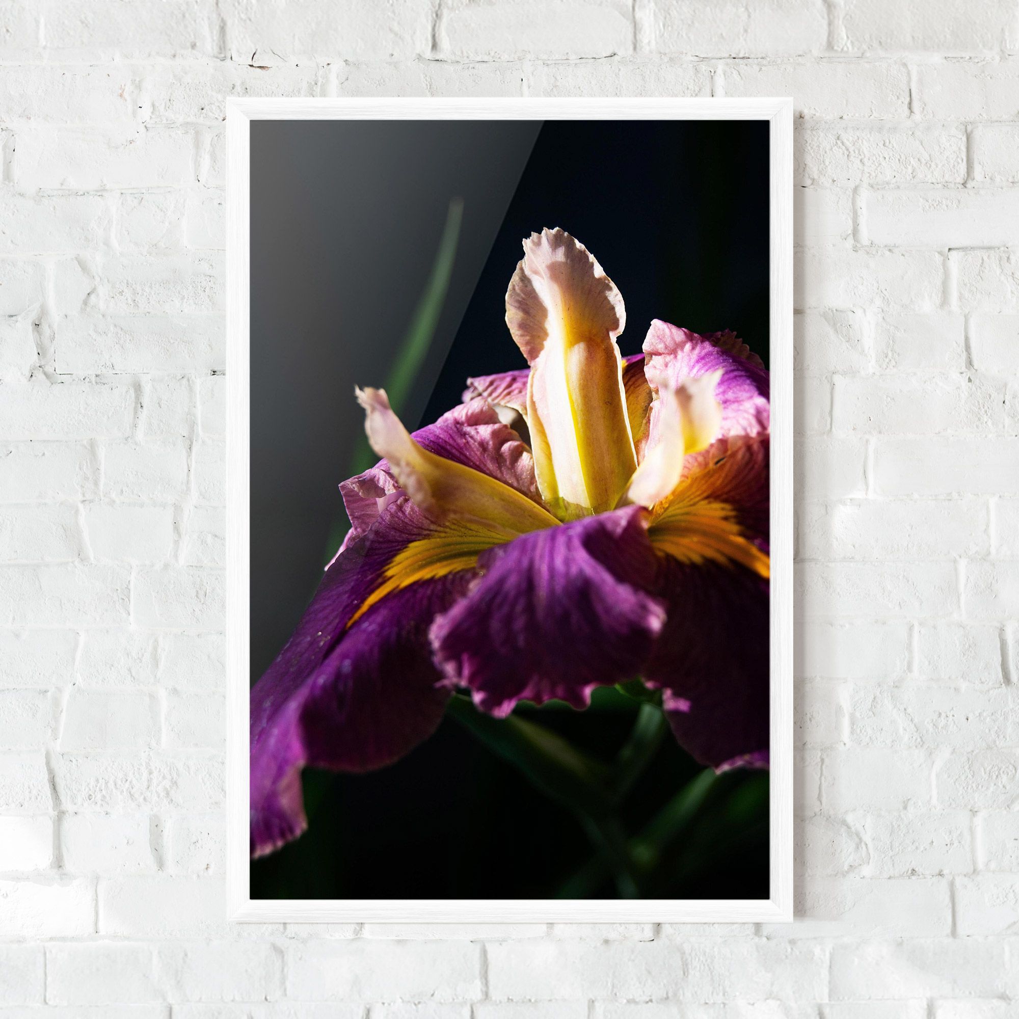 Pastel Yellow Iris mockup 0