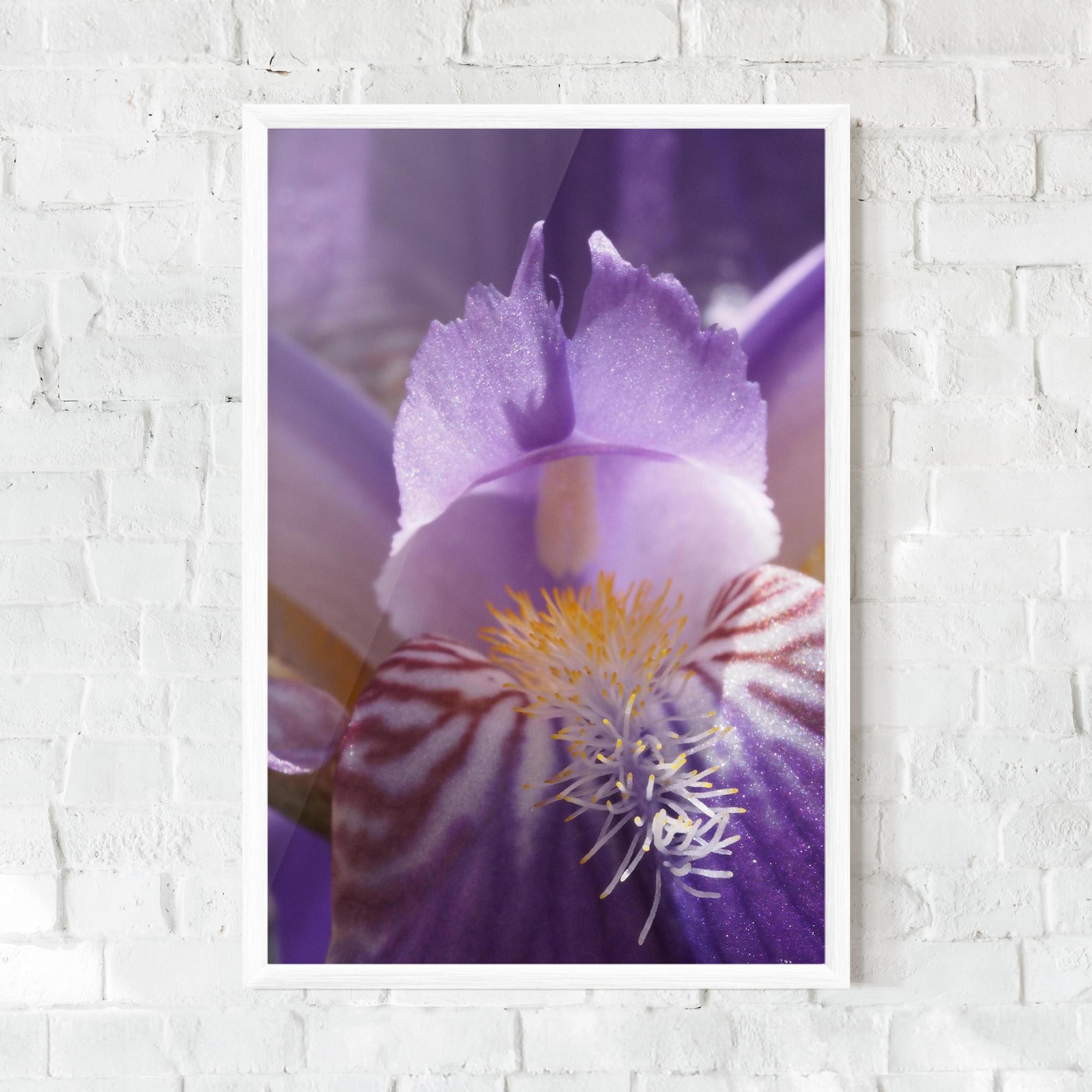 Poster Înrămat Purple Iris Close Up mockup 0