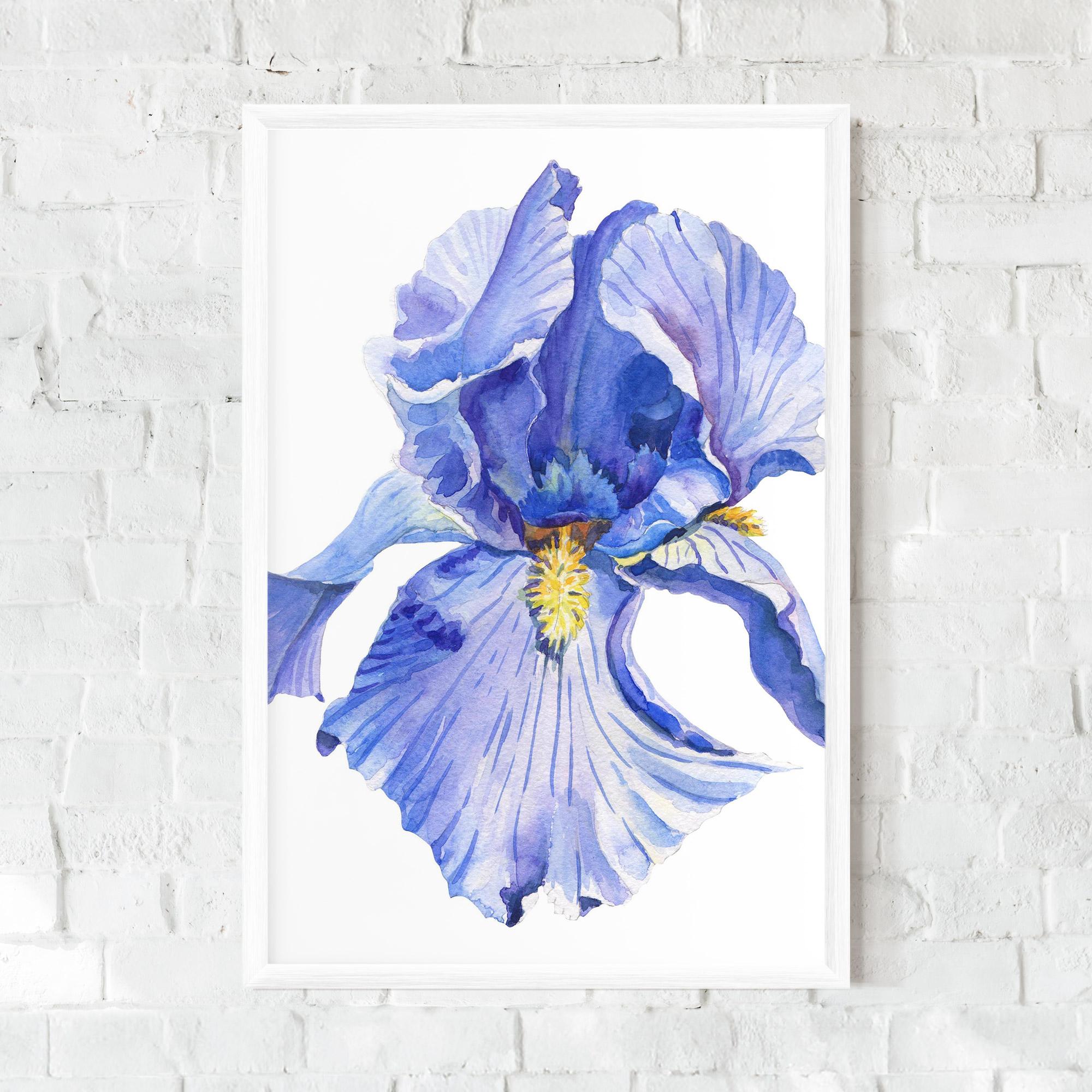 Poster Înrămat Purple Iris On White mockup 0
