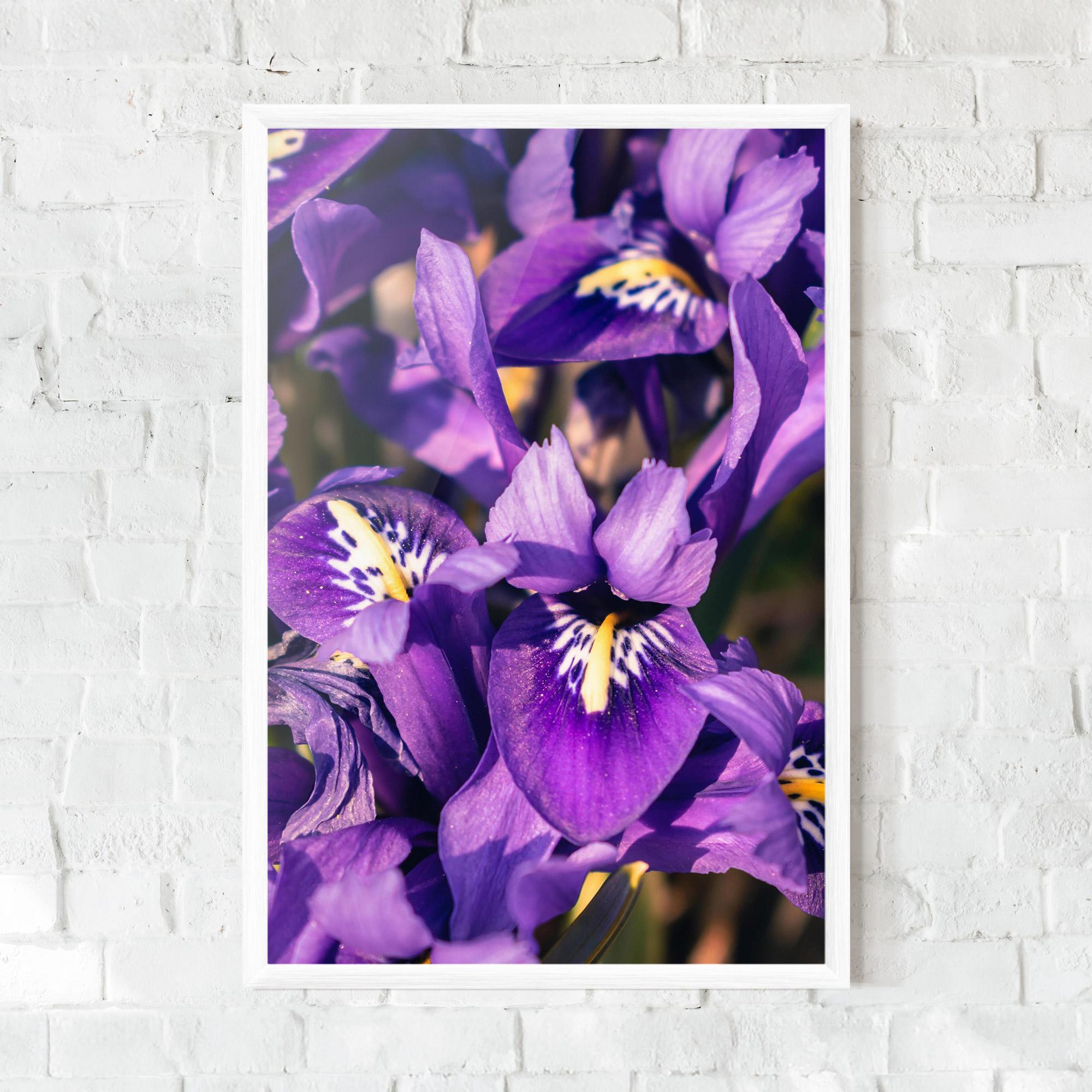 Poster Înrămat Small Purple Iris mockup 0