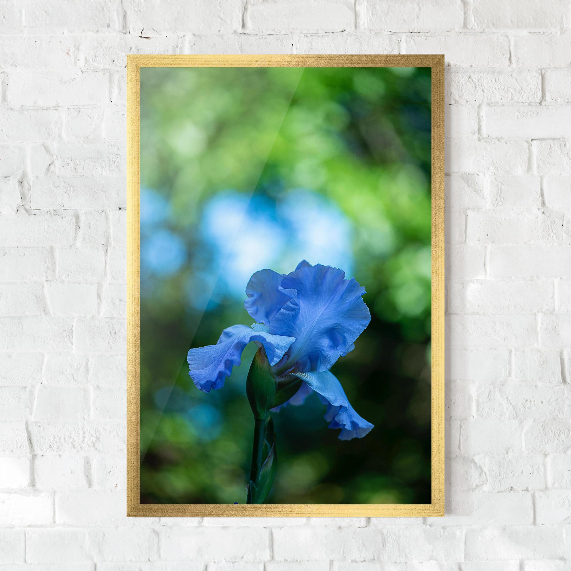 Poster Înrămat Blue Iris In The Garden mockup 0