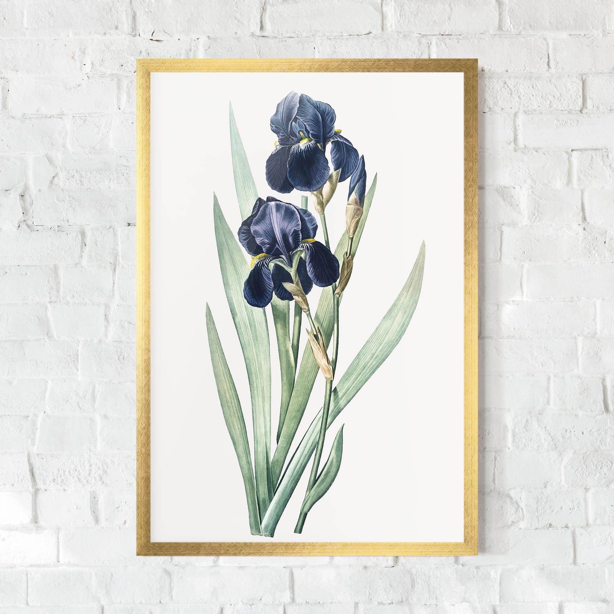Poster Înrămat Dark Blue Iris mockup 0