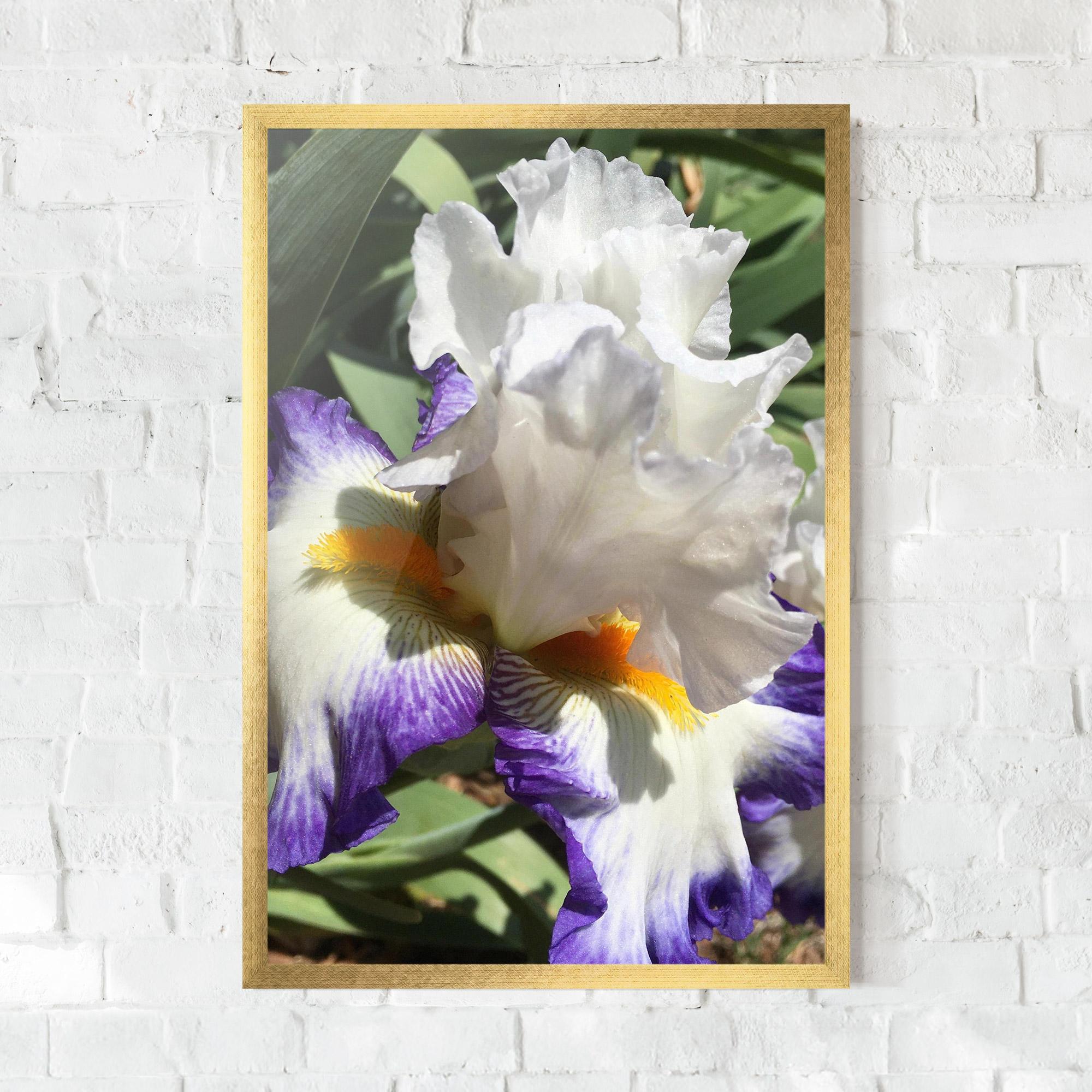 Poster Înrămat Garden White Purple Irirs mockup 0