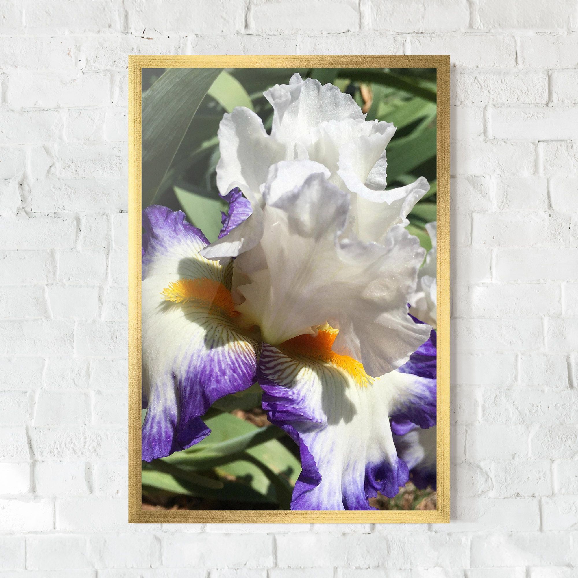 Garden White Purple Irirs mockup 0