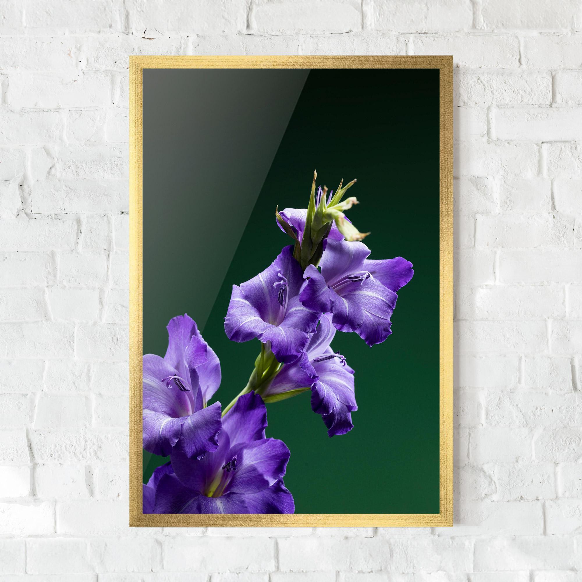 Poster Înrămat Iris On Green mockup 0