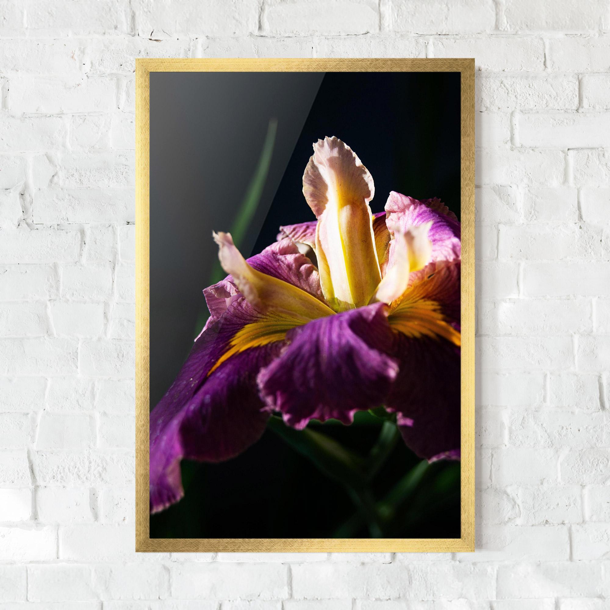 Poster Înrămat Pastel Yellow Iris mockup 0