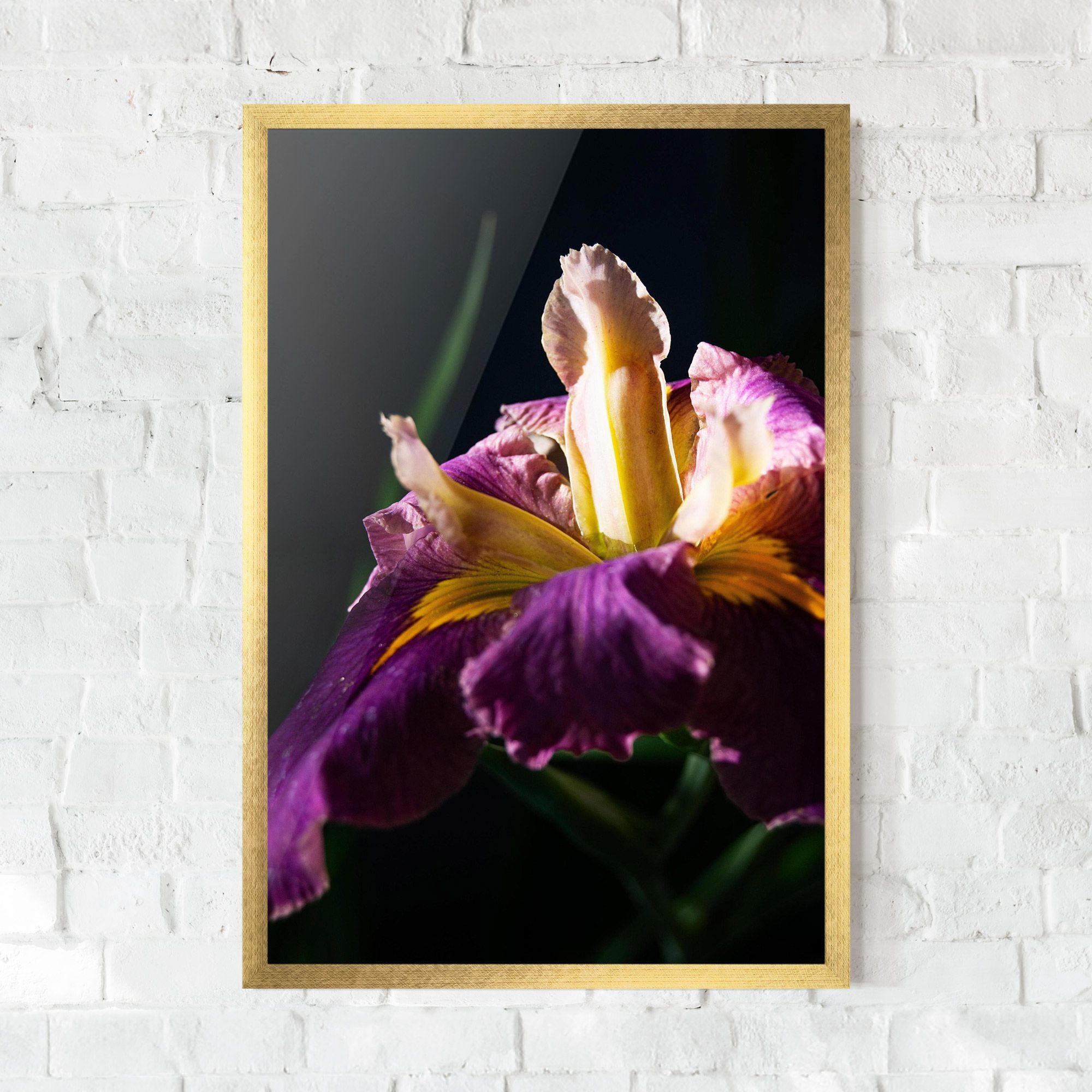 Pastel Yellow Iris mockup 0