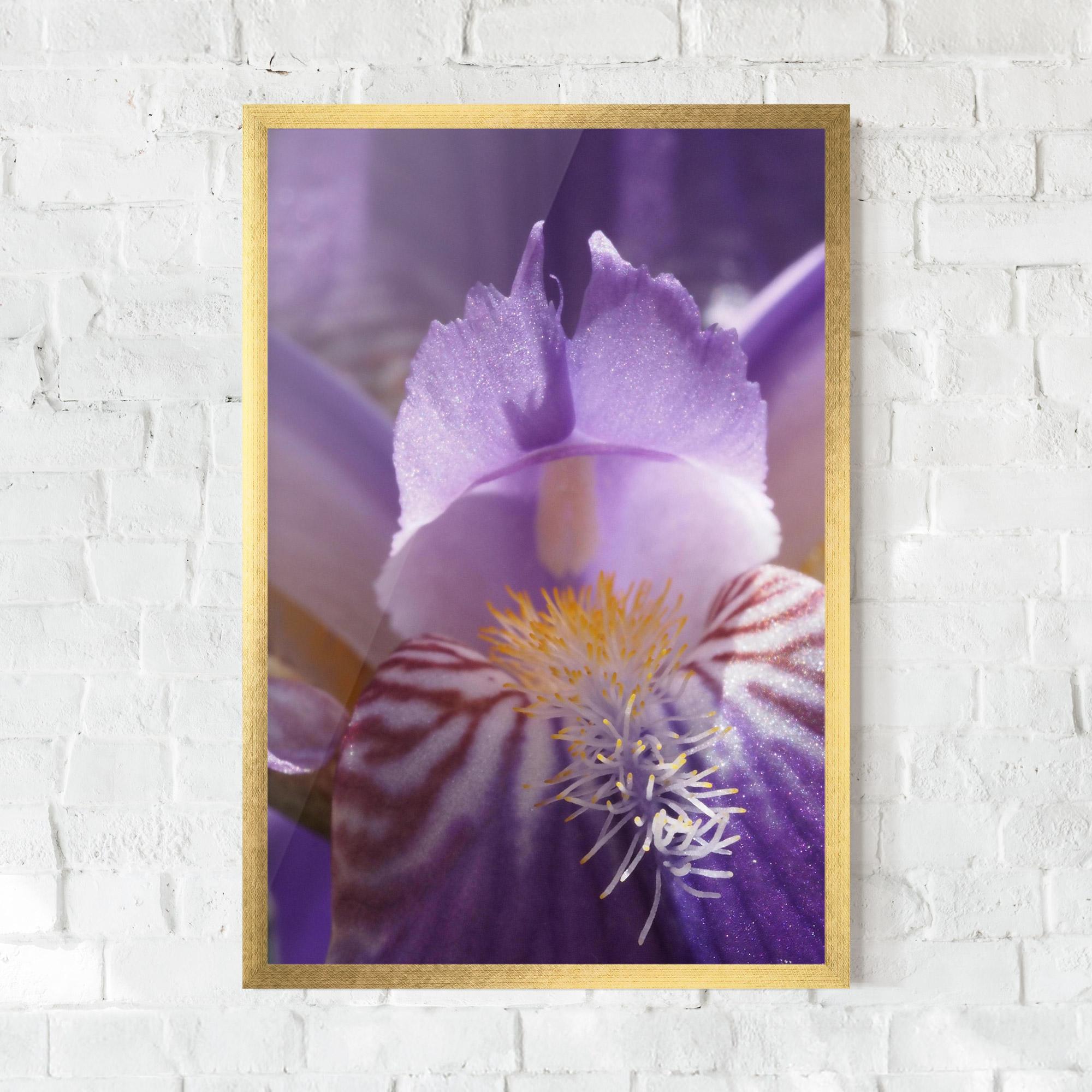 Poster Înrămat Purple Iris Close Up mockup 0