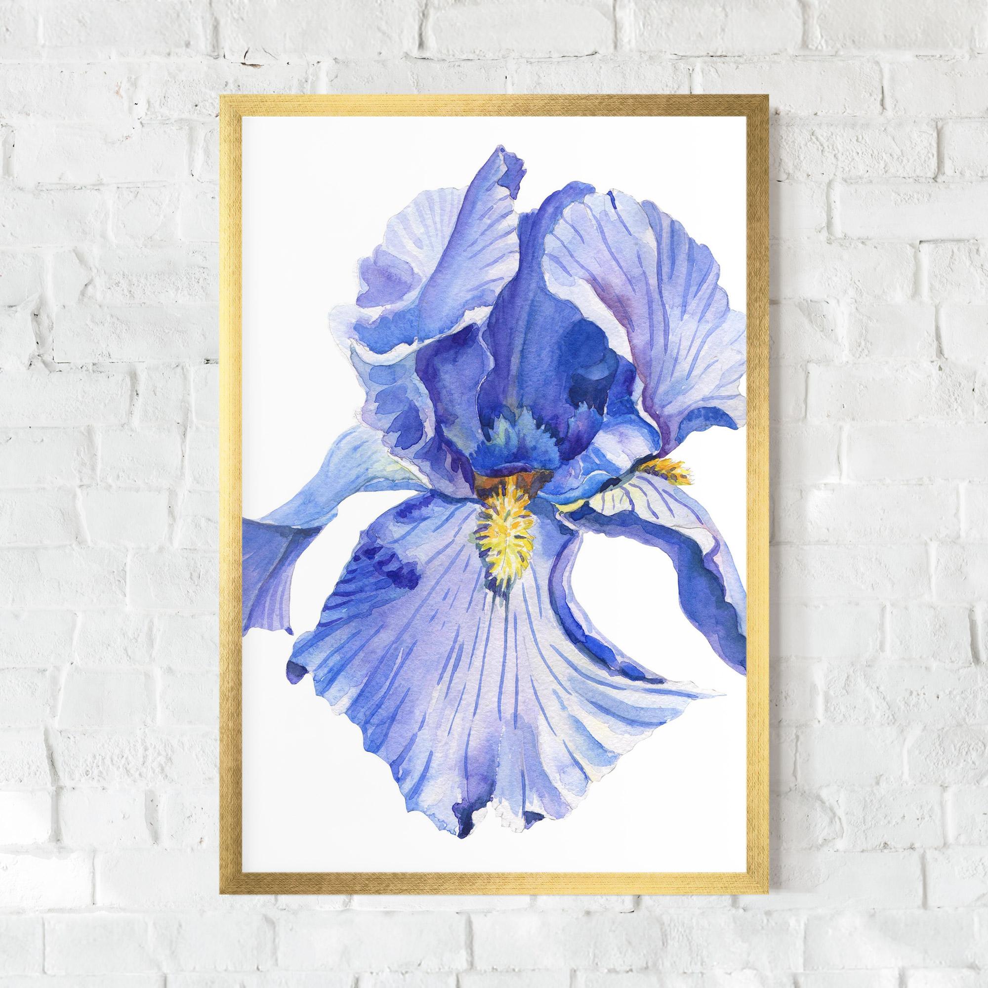 Poster Înrămat Purple Iris On White mockup 0
