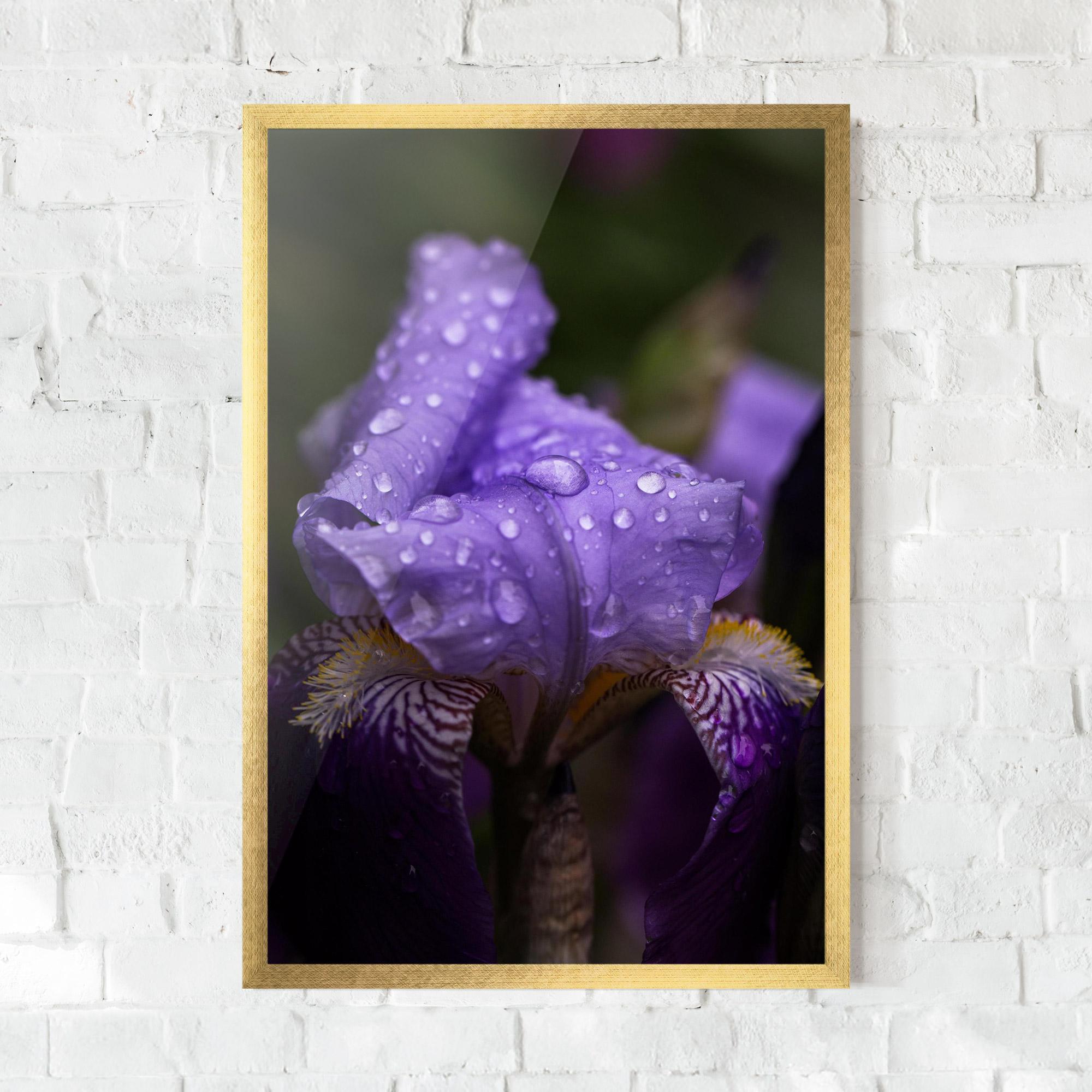 Poster Înrămat Rain In The Garden mockup 0