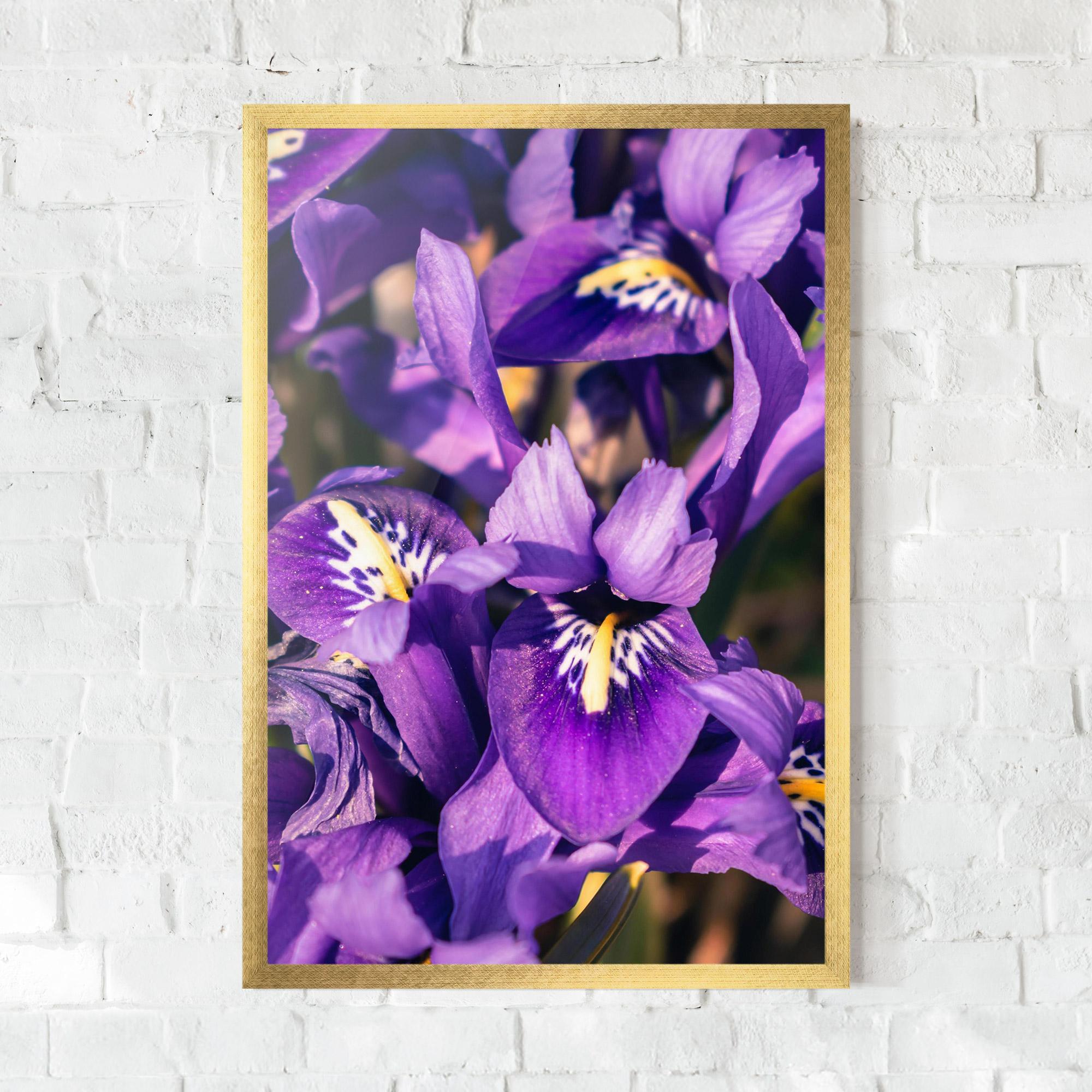 Poster Înrămat Small Purple Iris mockup 0