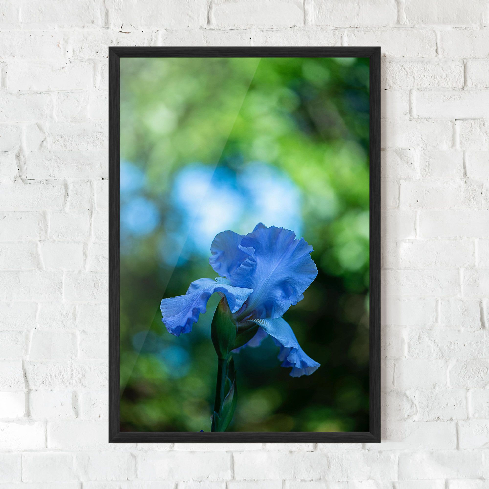 Blue Iris In The Garden mockup 0