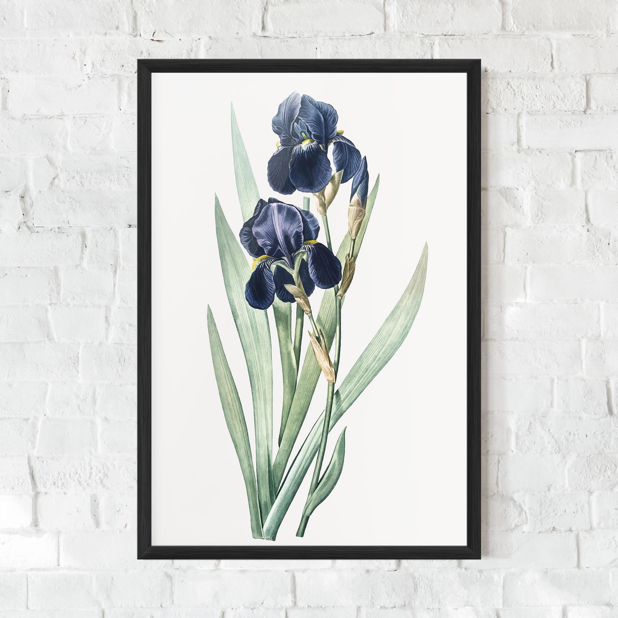 Poster Înrămat Dark Blue Iris mockup 0