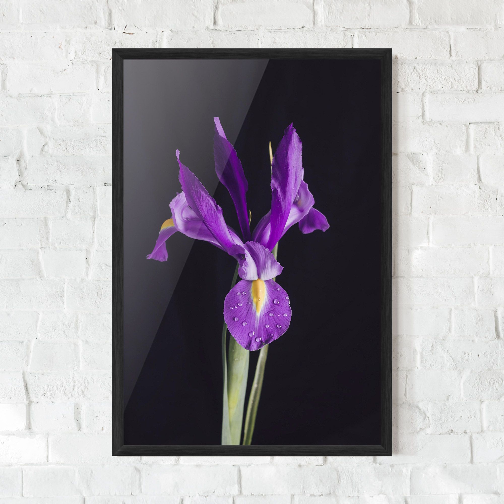Fresh Purple Iris mockup 0