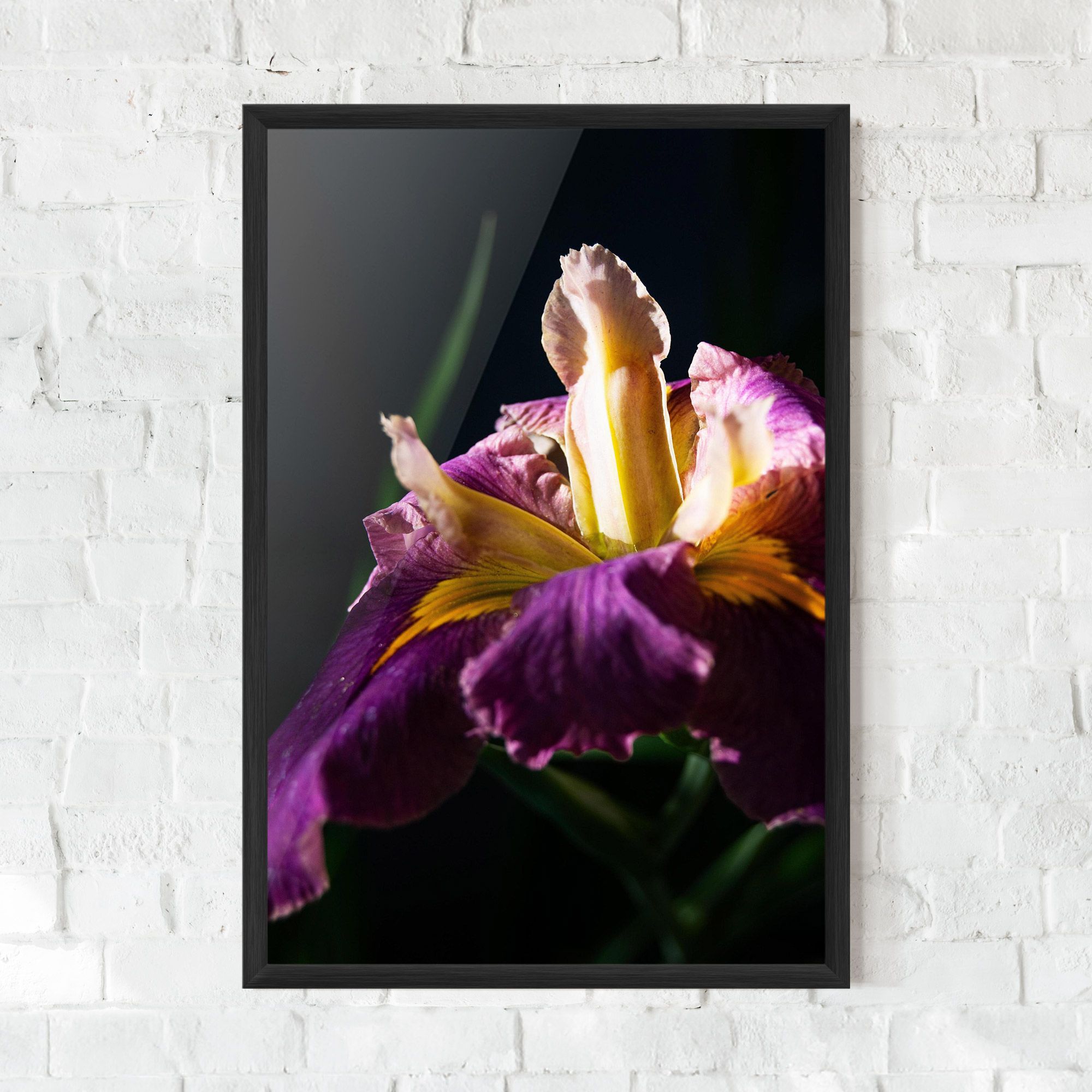 Pastel Yellow Iris mockup 0
