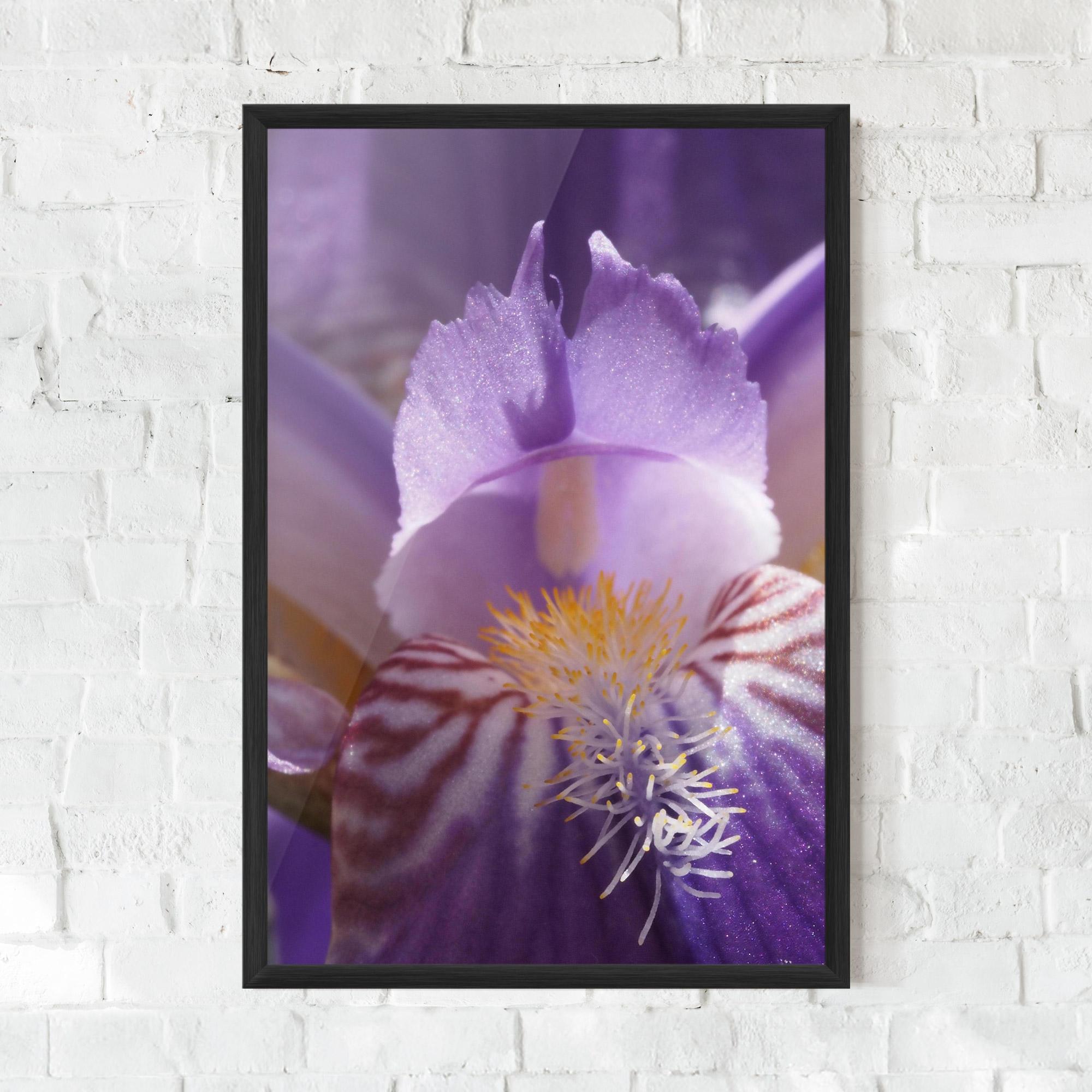 Poster Înrămat Purple Iris Close Up mockup 0