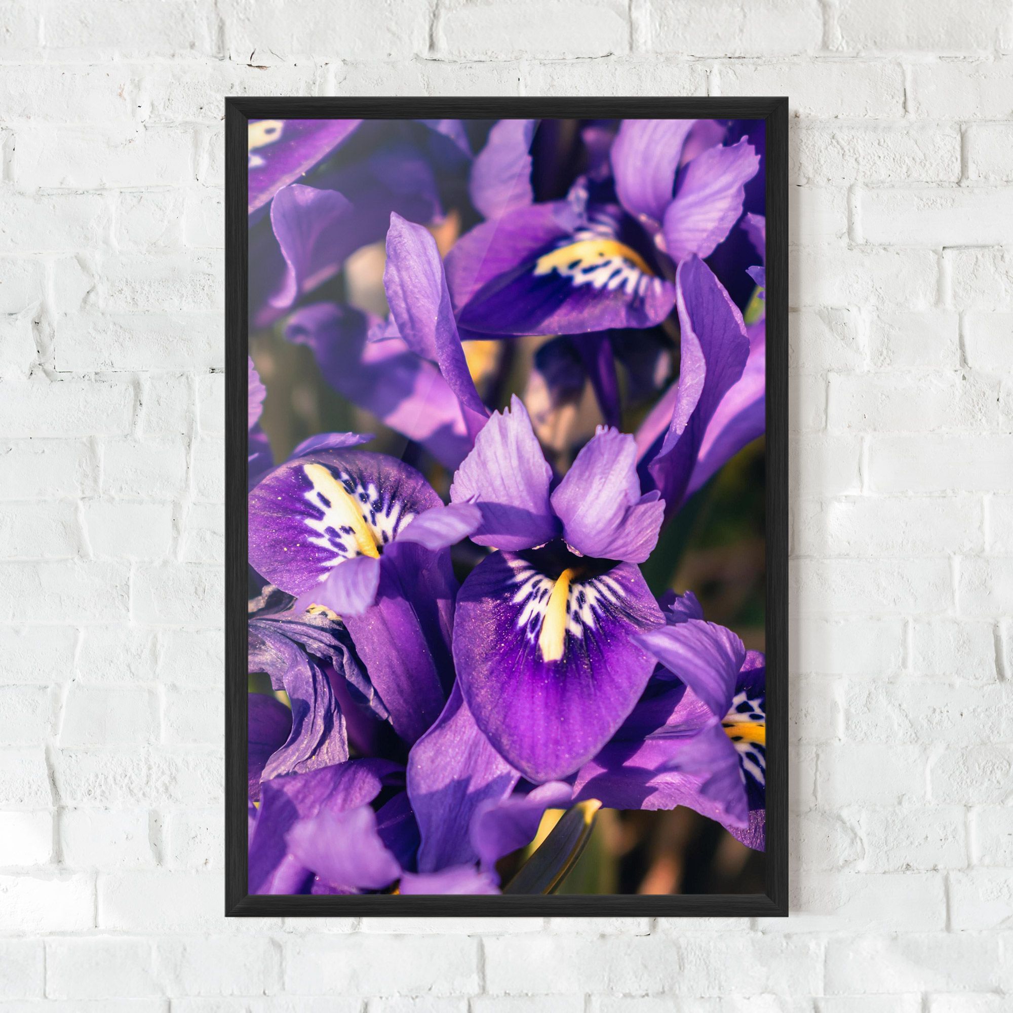Small Purple Iris mockup 0