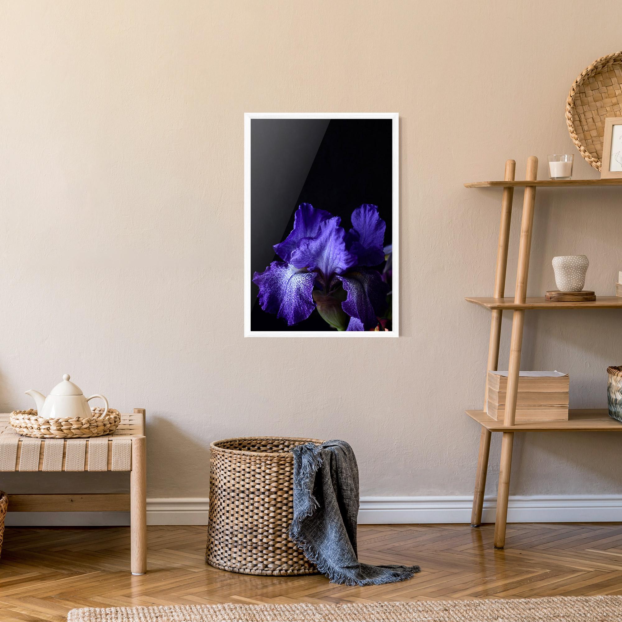 Poster Înrămat Dark Purple Iris On Black mockup 9