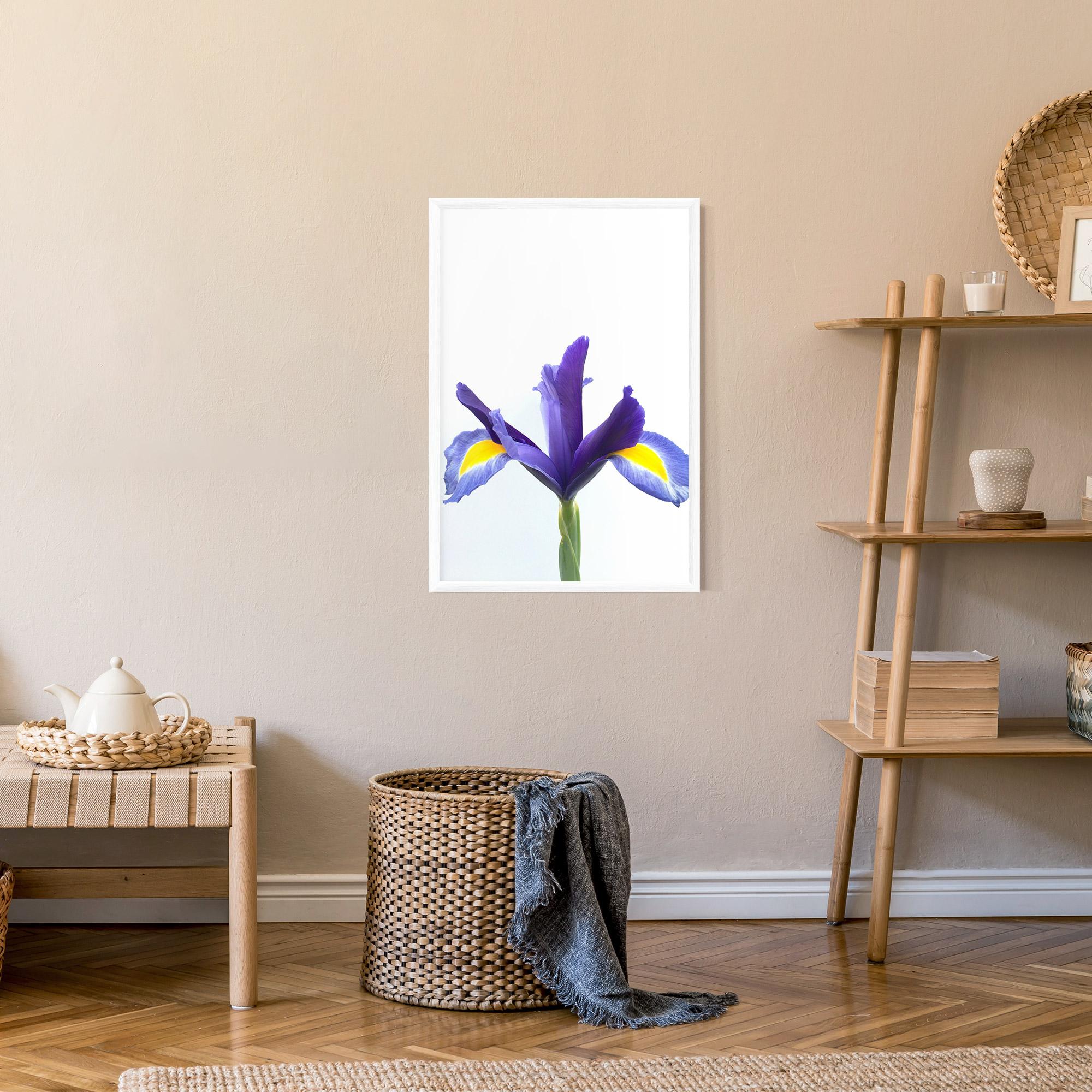 Poster Înrămat Yellow Color Iris mockup 9