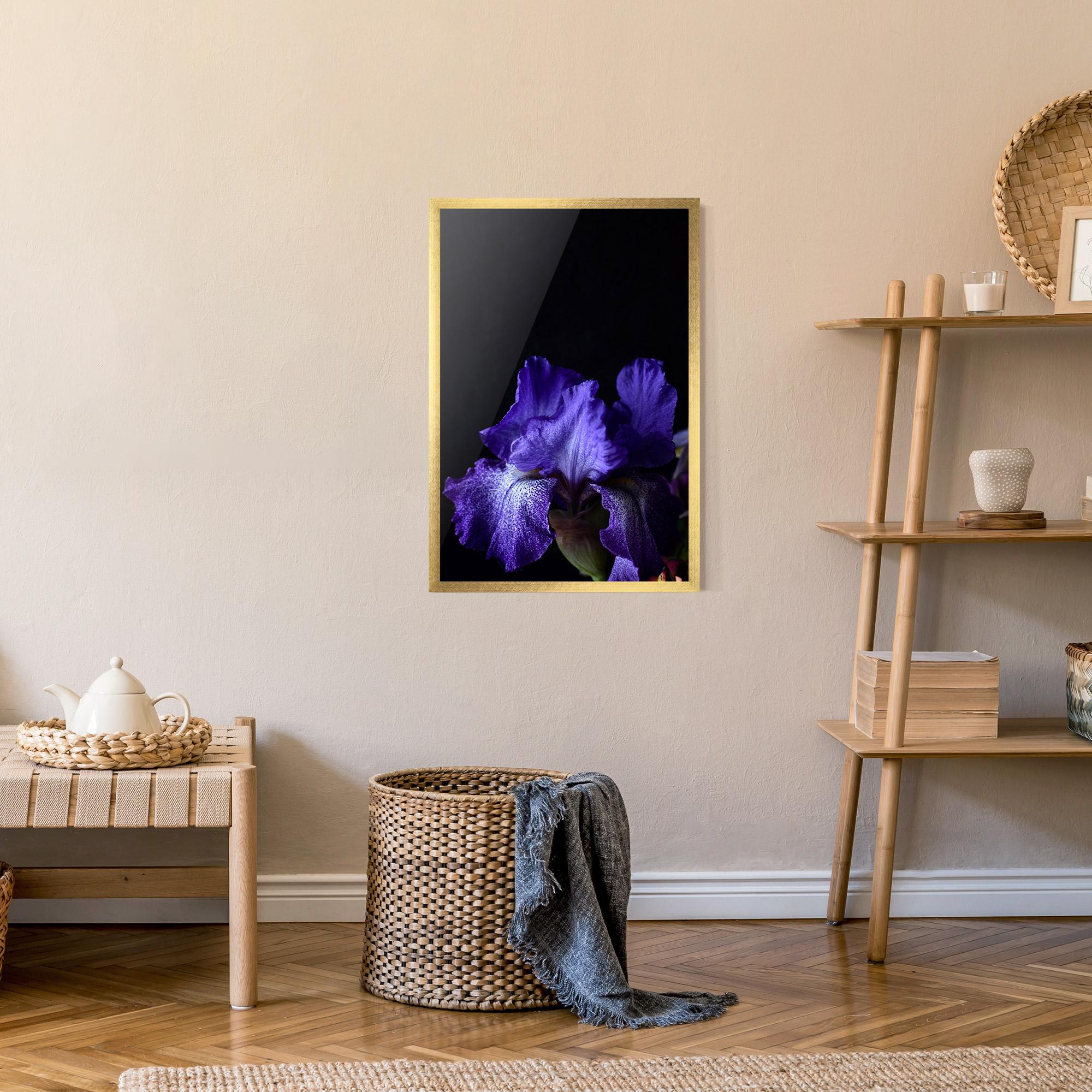Poster Înrămat Dark Purple Iris On Black mockup 9
