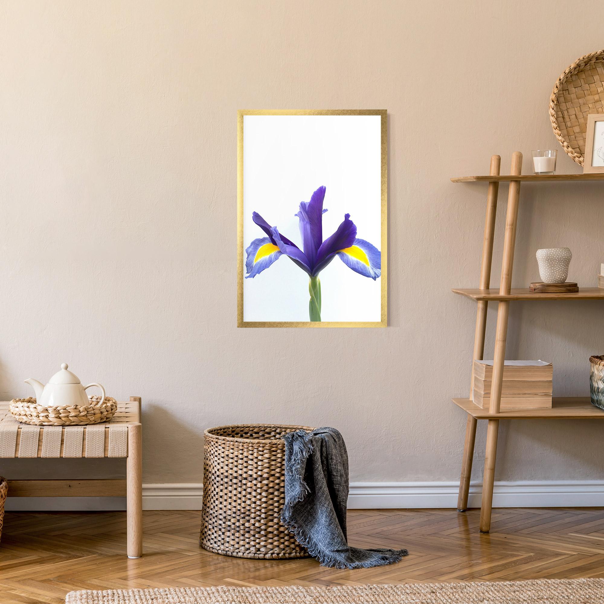 Poster Înrămat Yellow Color Iris mockup 9