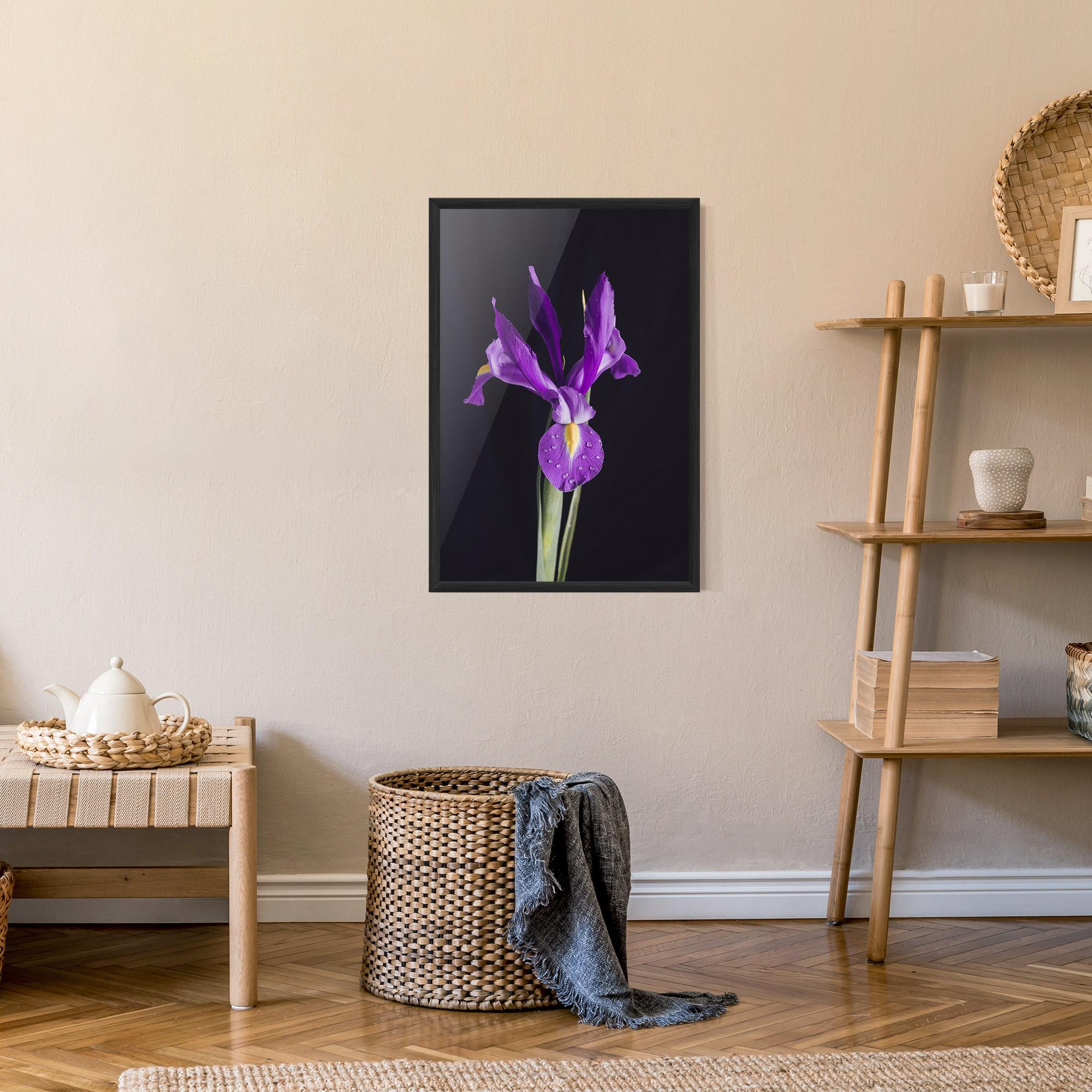 Poster Înrămat Fresh Purple Iris mockup 9