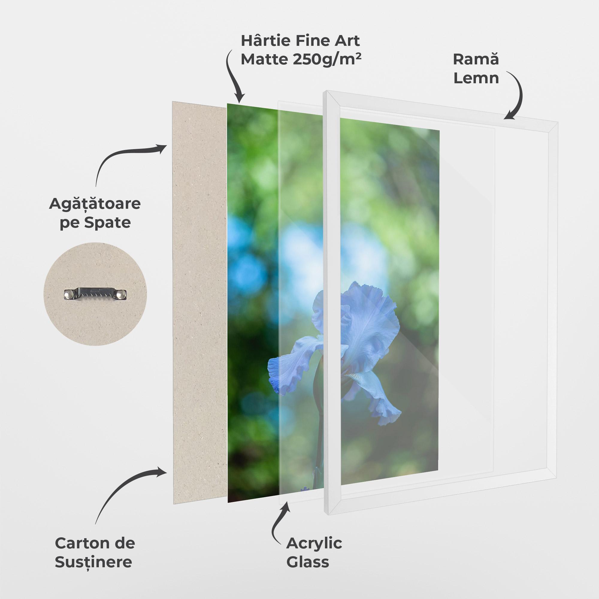 Poster Înrămat Blue Iris In The Garden mockup 1