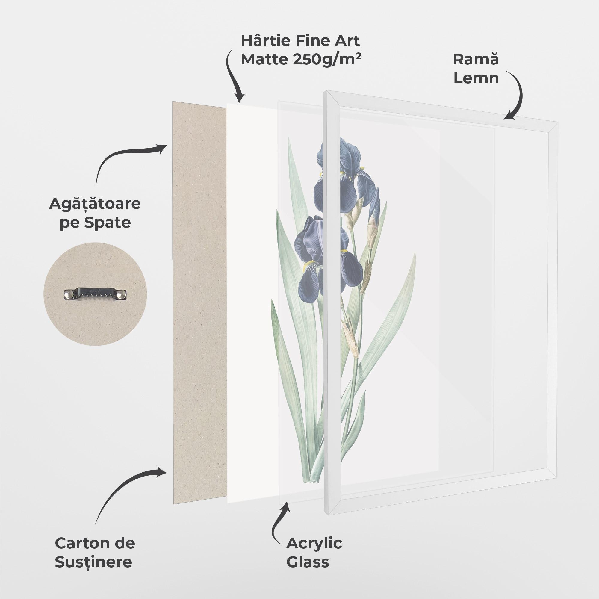 Poster Înrămat Dark Blue Iris mockup 1