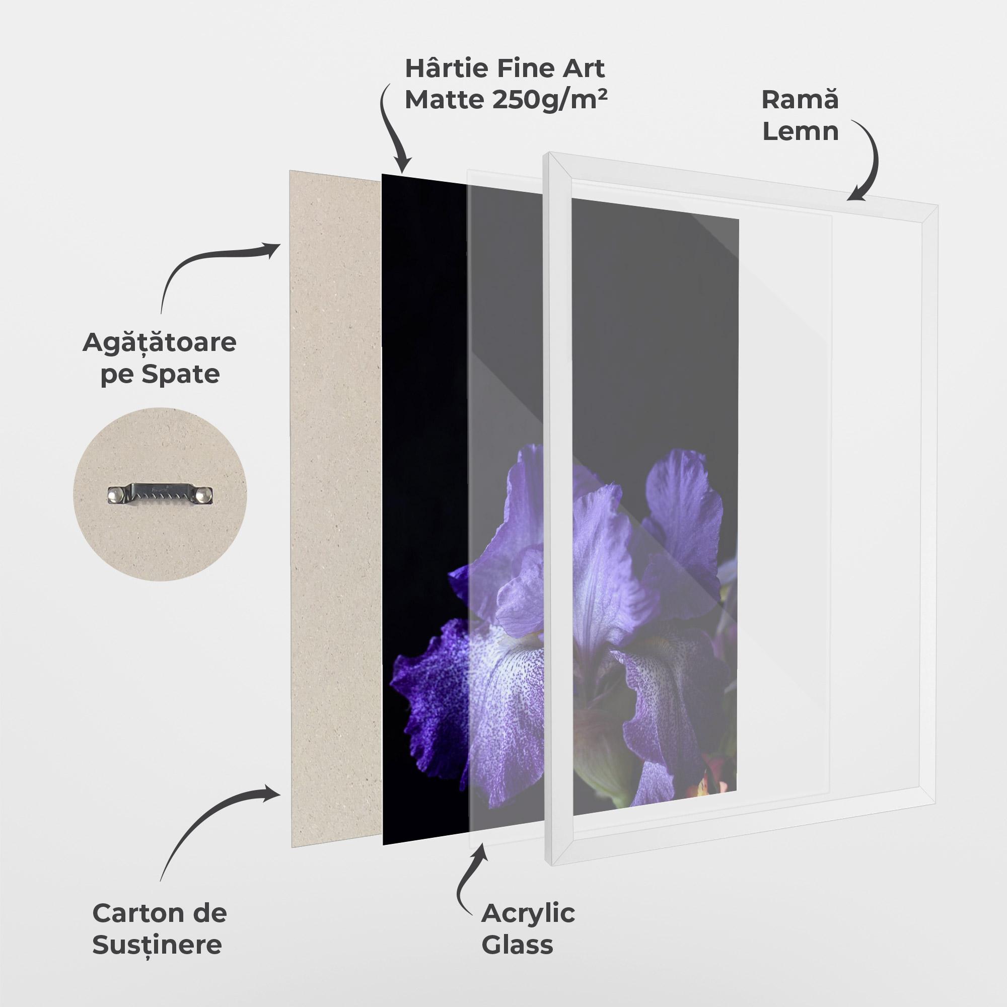 Poster Înrămat Dark Purple Iris On Black mockup 1