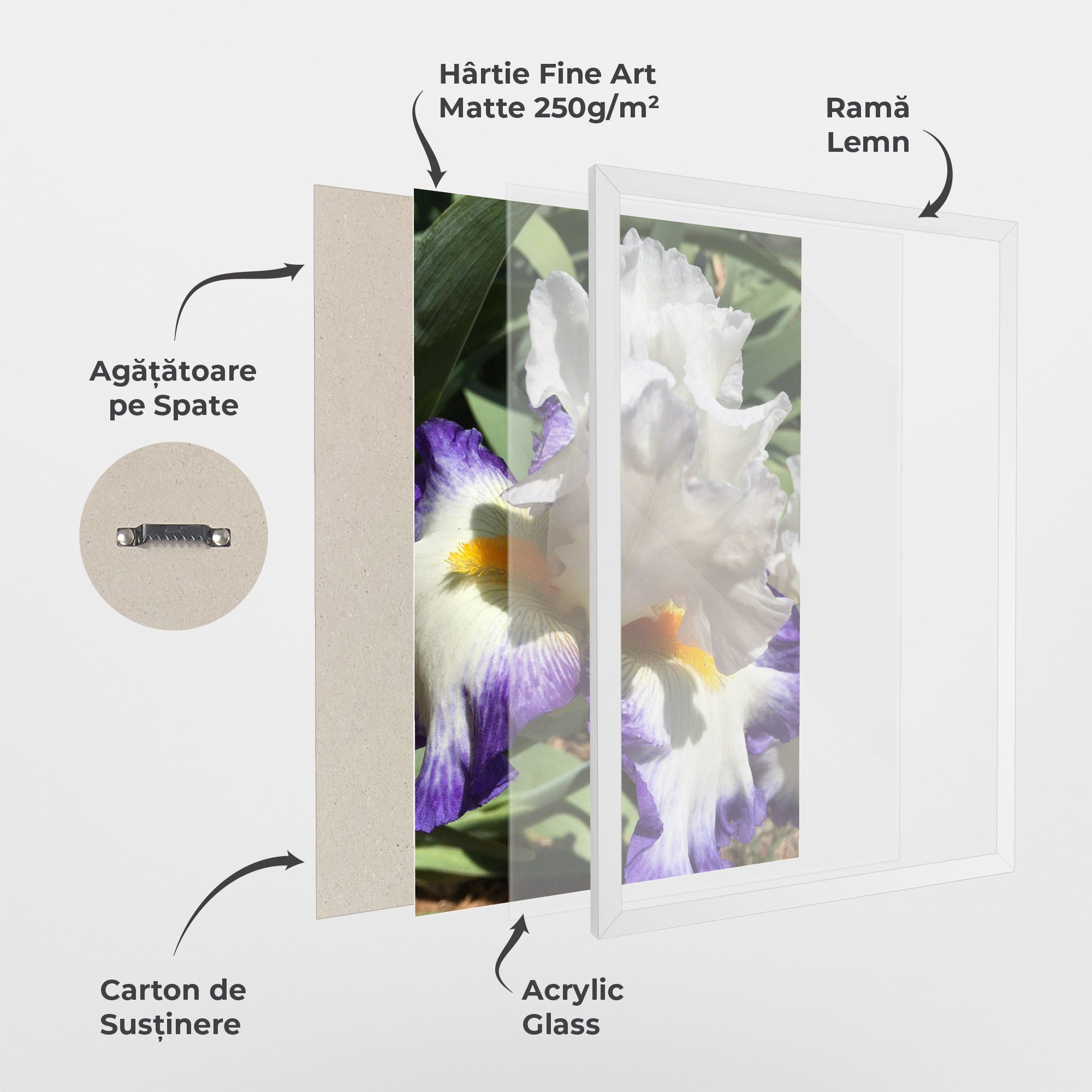 Garden White Purple Irirs mockup 1