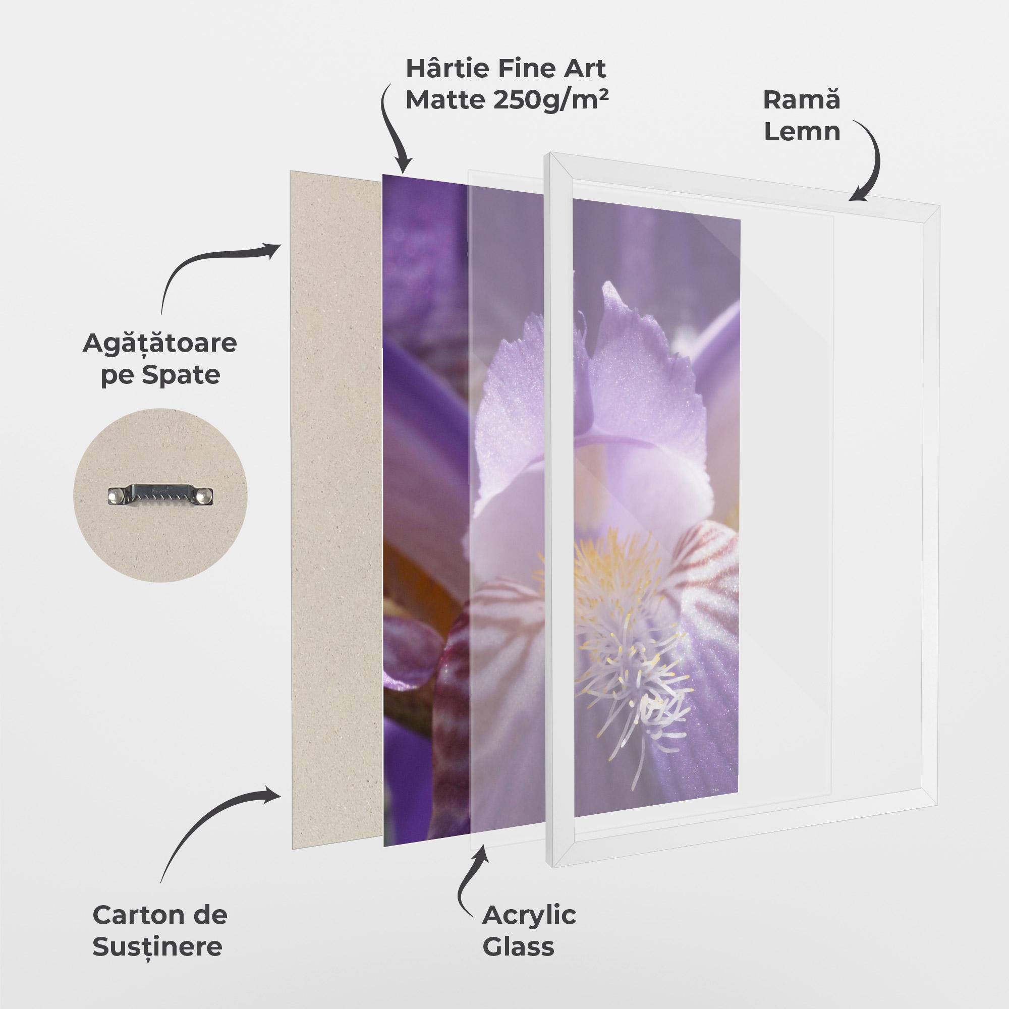 Poster Înrămat Purple Iris Close Up mockup 1
