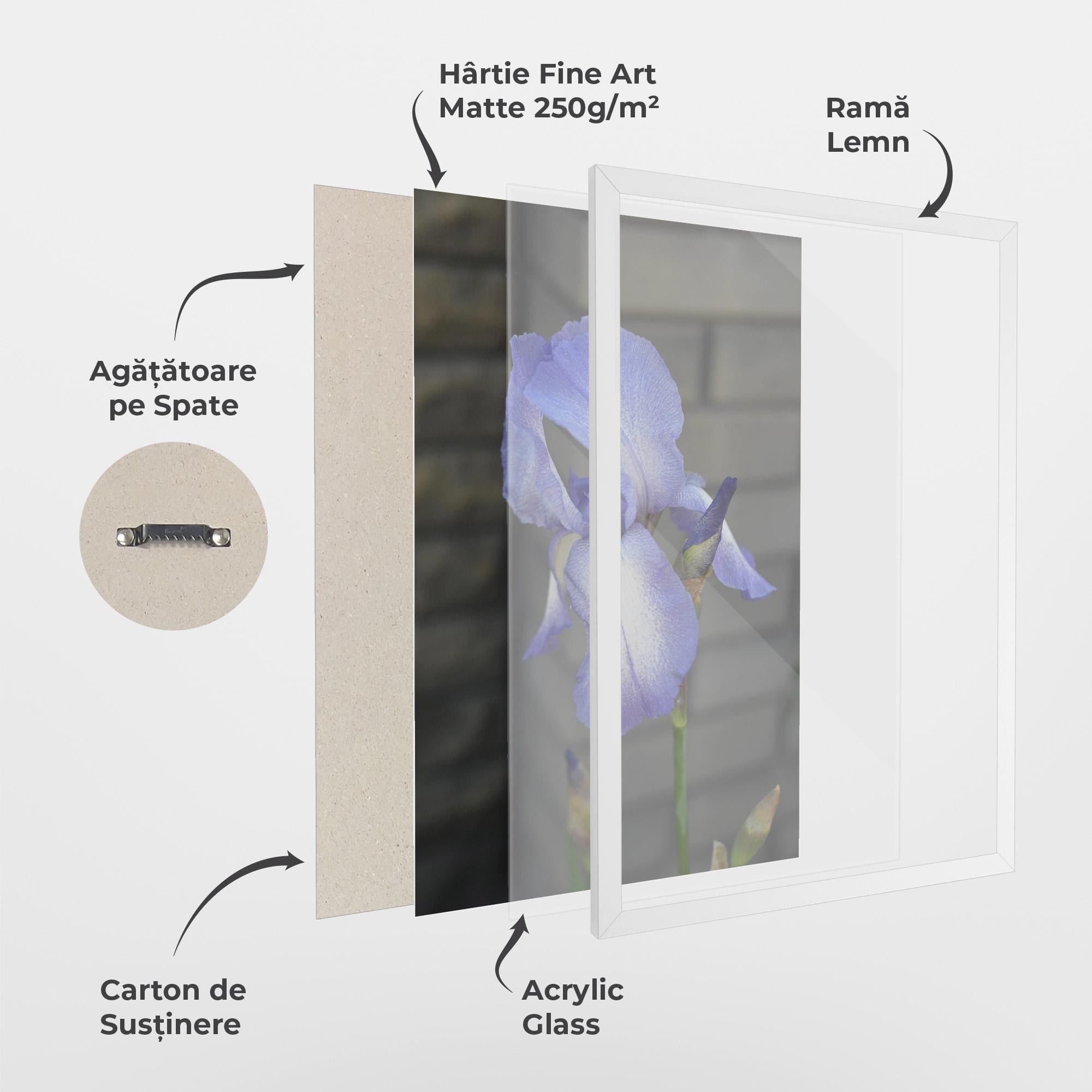 Poster Înrămat Purple Iris On Gray mockup 1