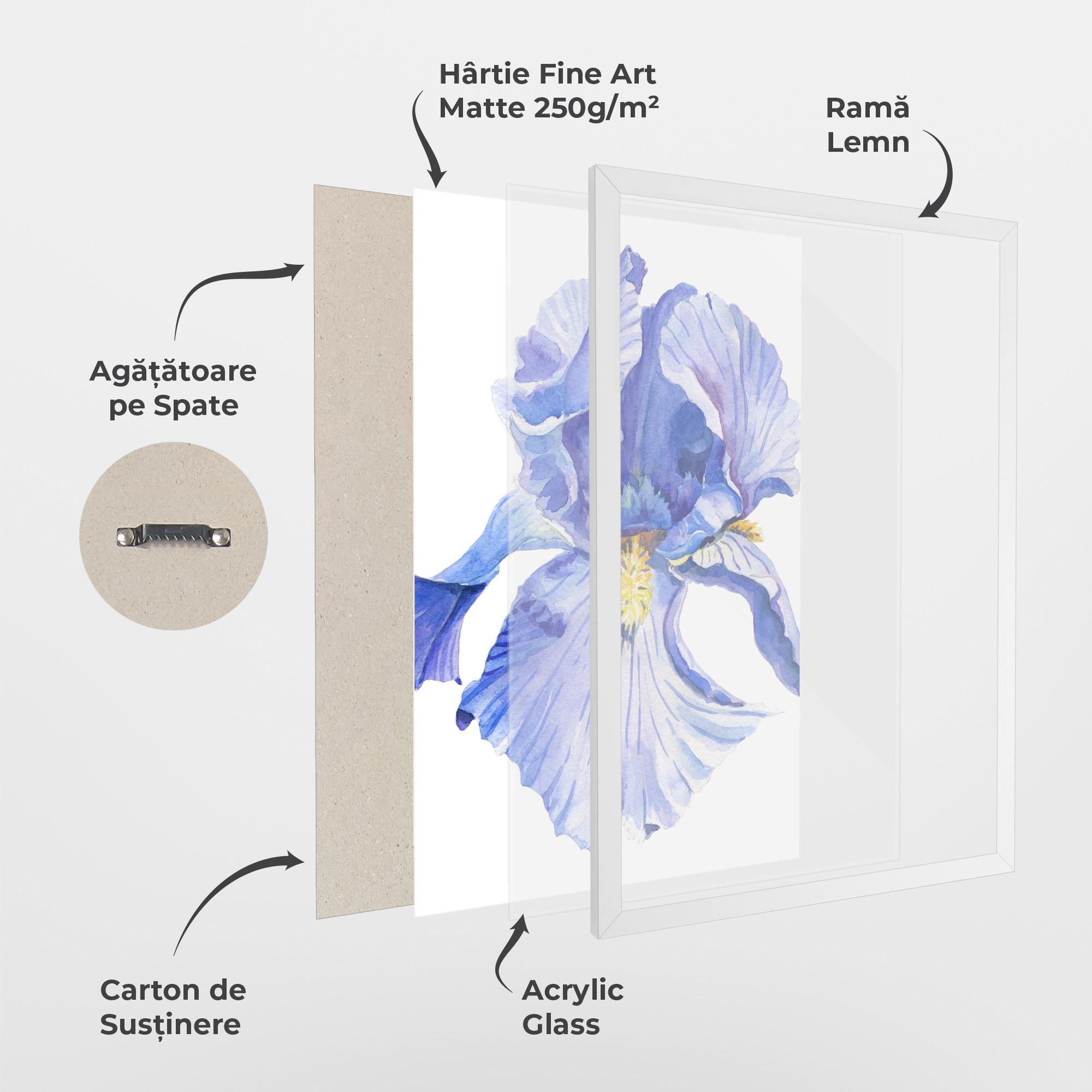 Poster Înrămat Purple Iris On White mockup 1