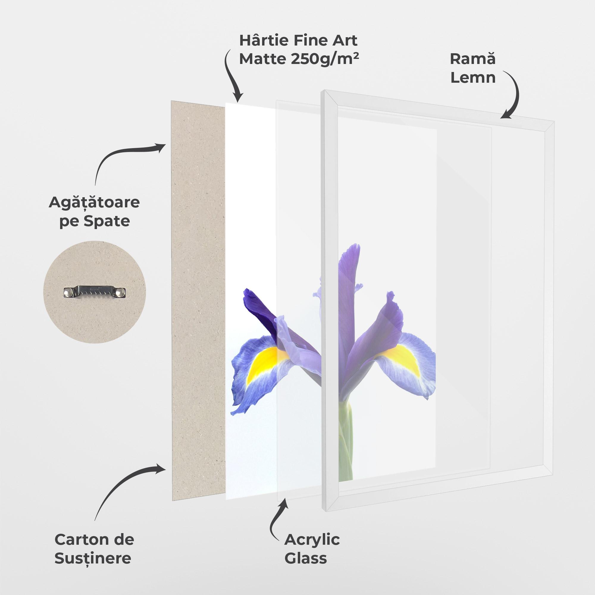 Poster Înrămat Yellow Color Iris mockup 1