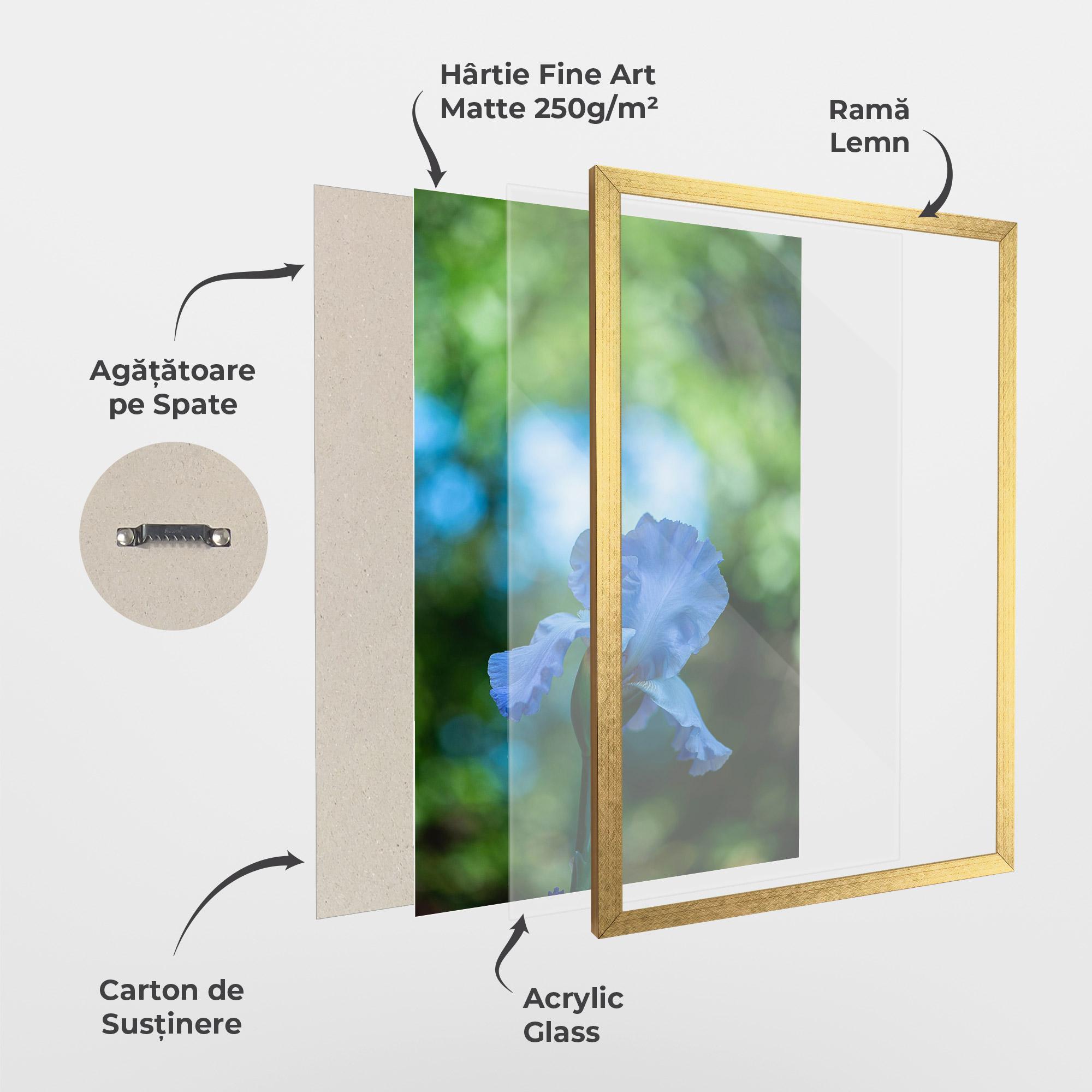 Poster Înrămat Blue Iris In The Garden mockup 1