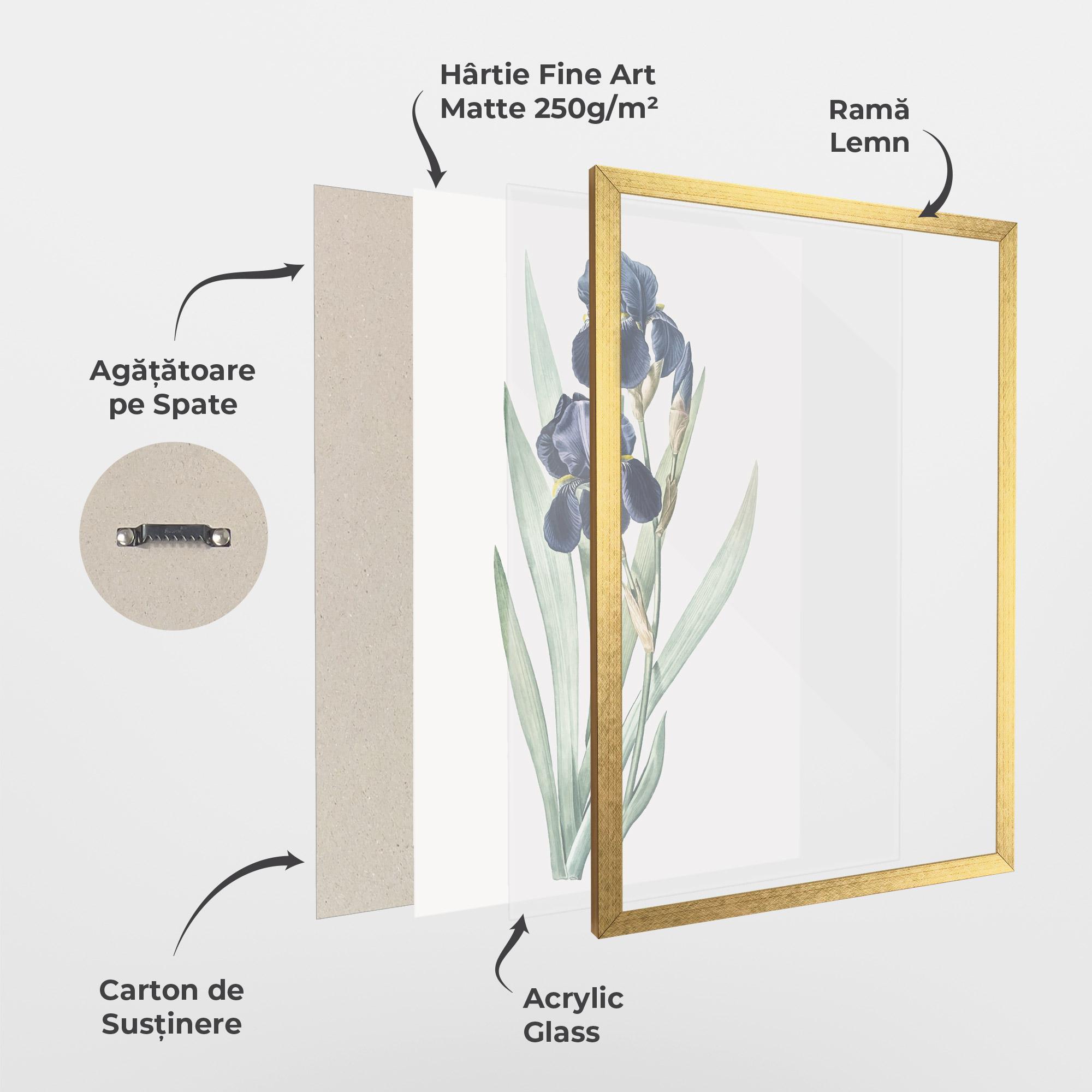 Poster Înrămat Dark Blue Iris mockup 1