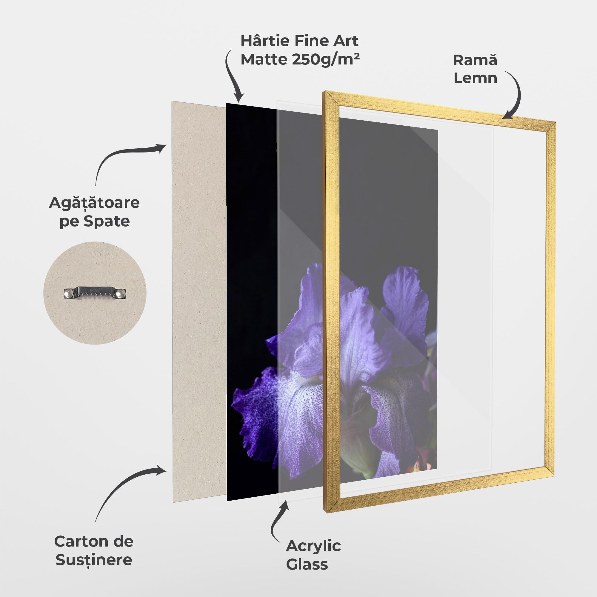 Poster Înrămat Dark Purple Iris On Black mockup 1