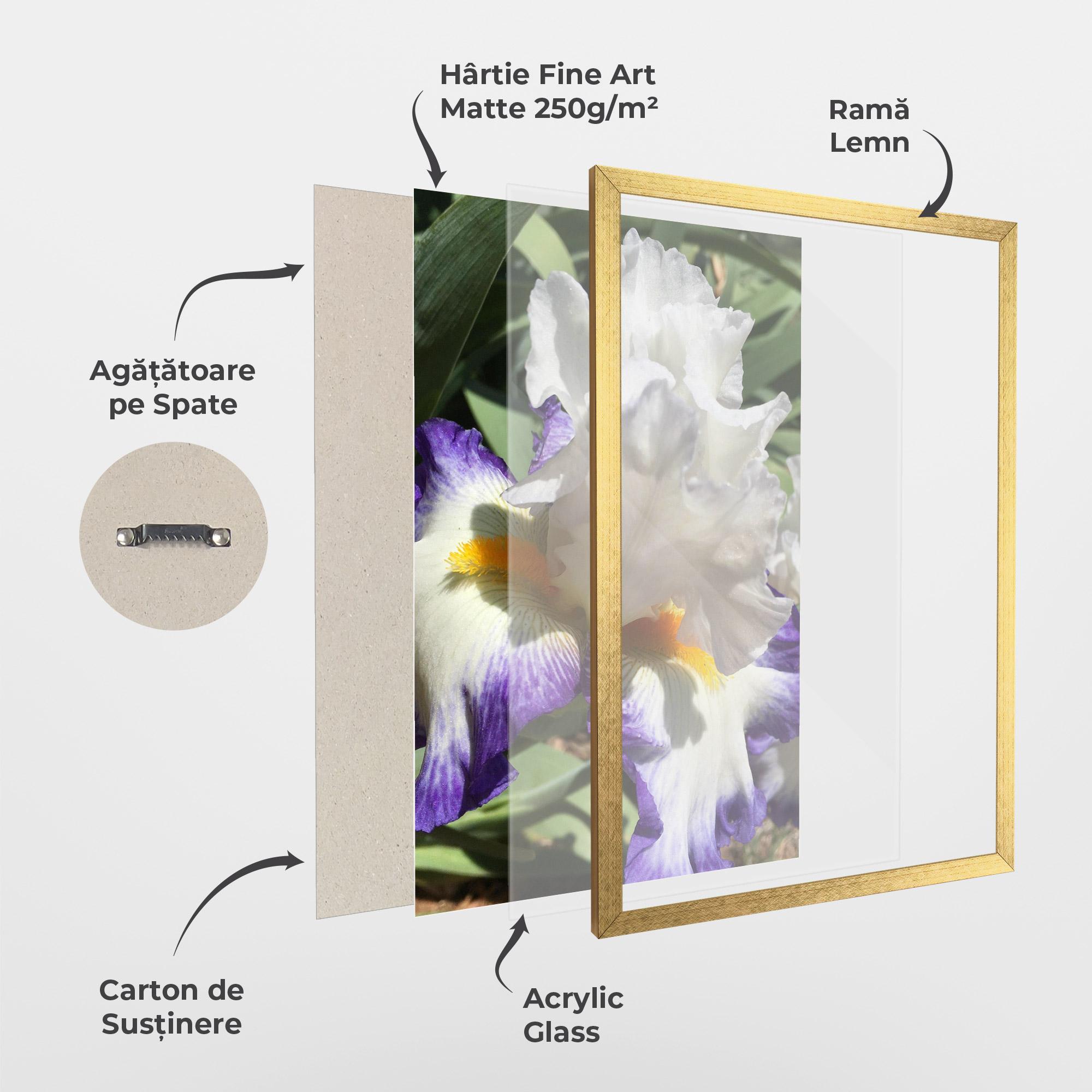 Poster Înrămat Garden White Purple Irirs mockup 1