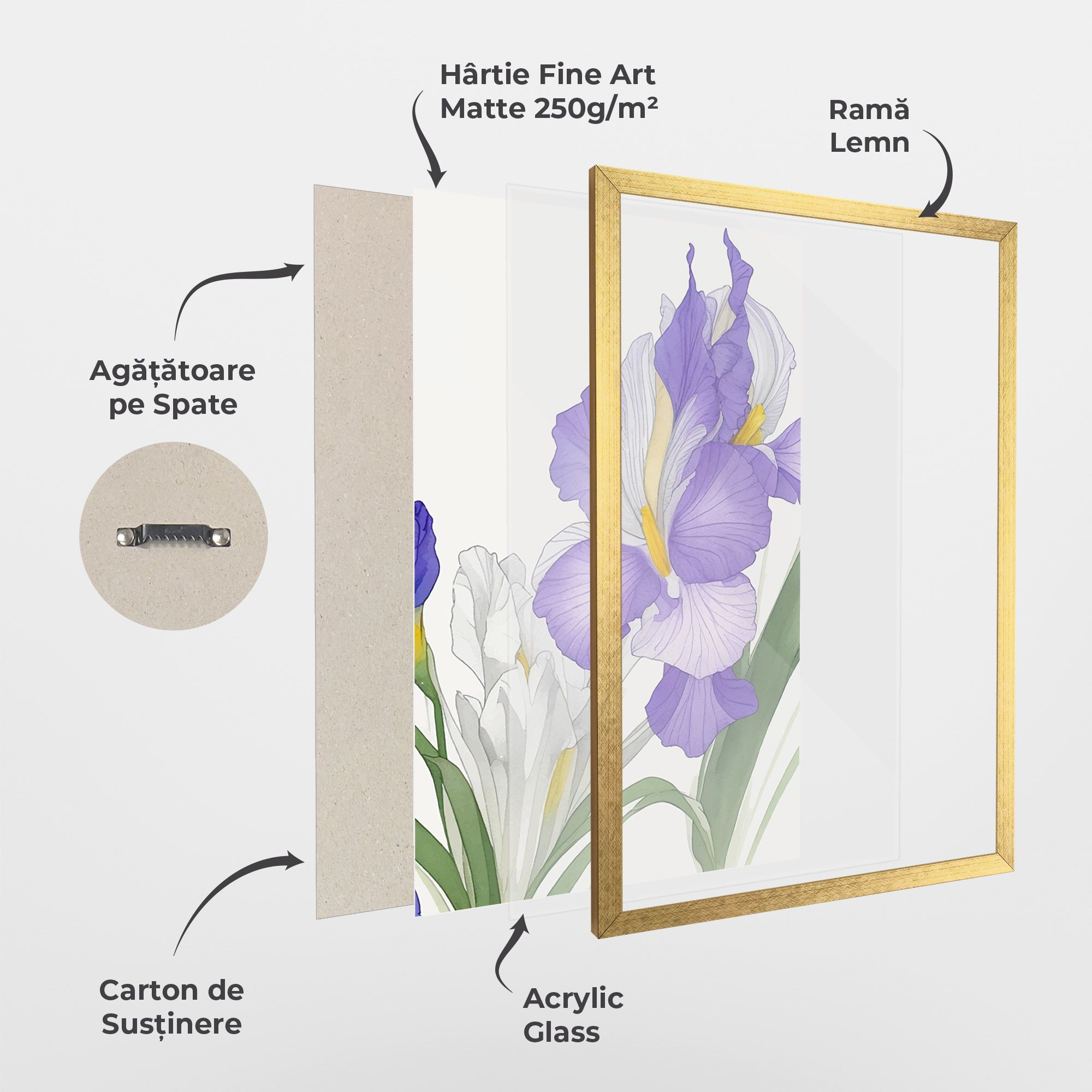 Irirs Hand Drawn mockup 1