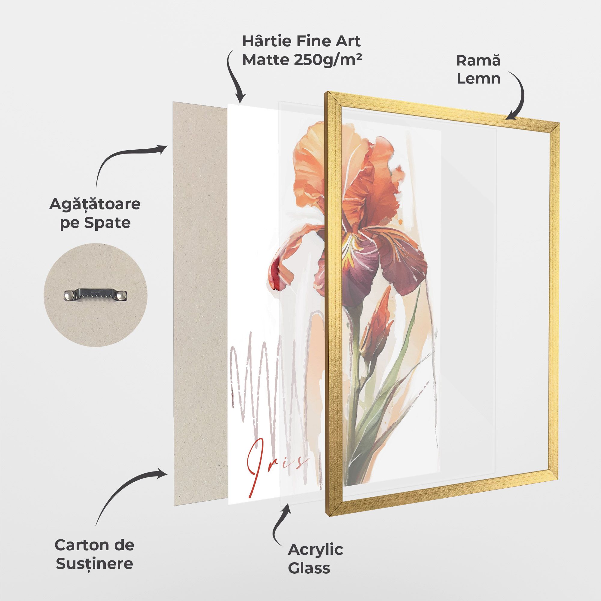 Orange Iris mockup 1