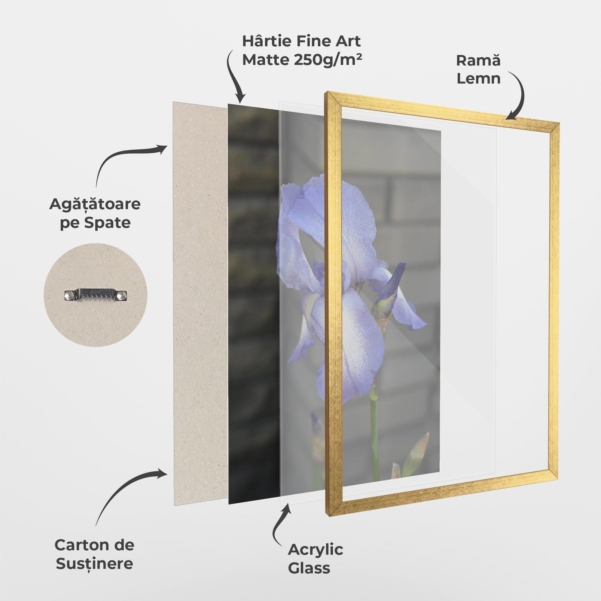 Poster Înrămat Purple Iris On Gray mockup 1