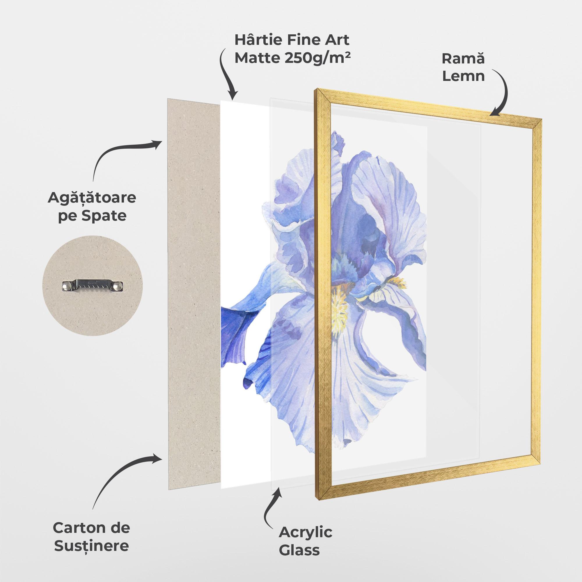 Poster Înrămat Purple Iris On White mockup 1