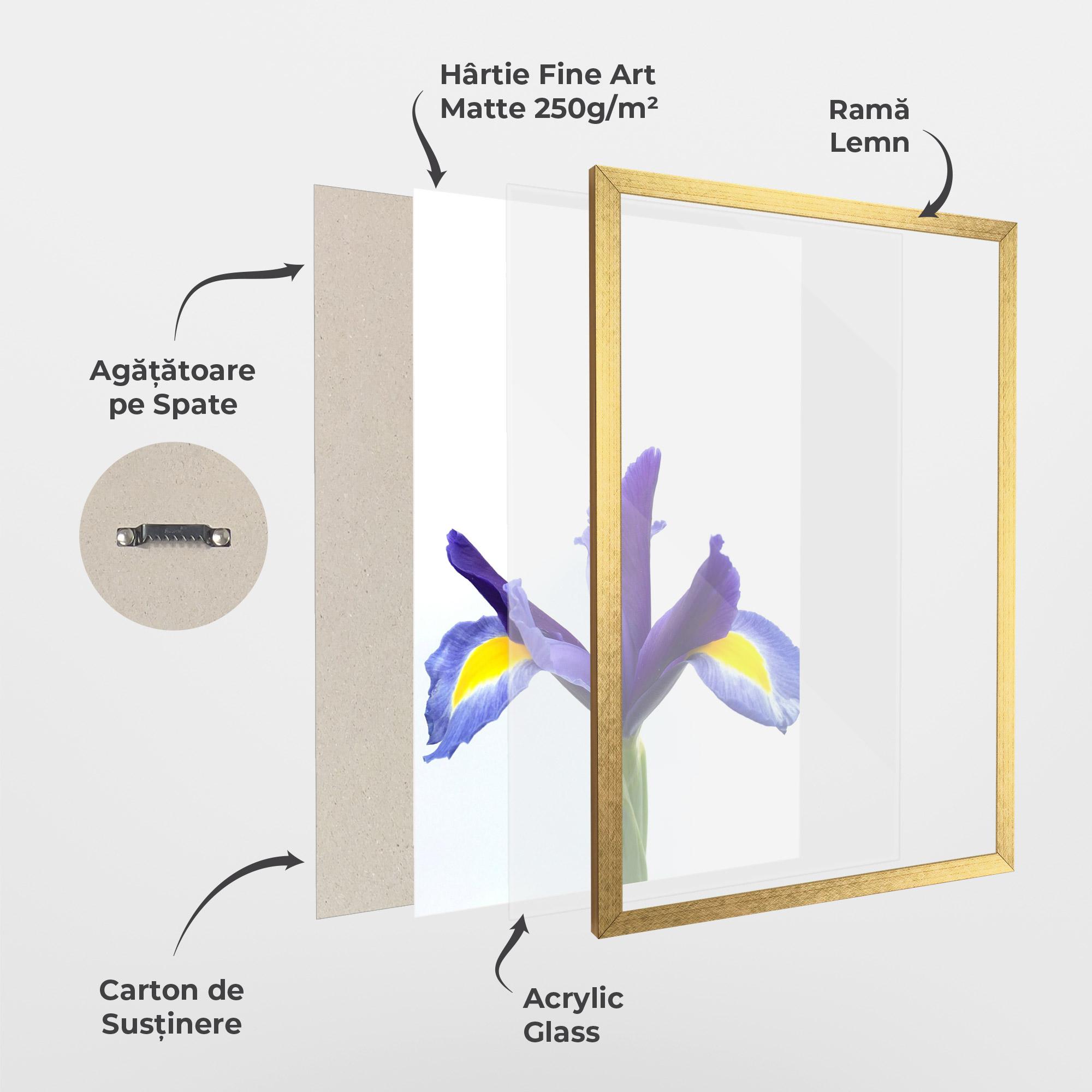 Poster Înrămat Yellow Color Iris mockup 1