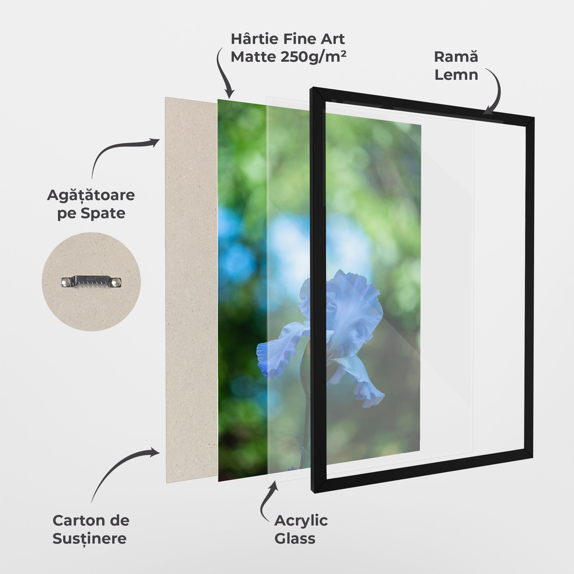 Blue Iris In The Garden mockup 1