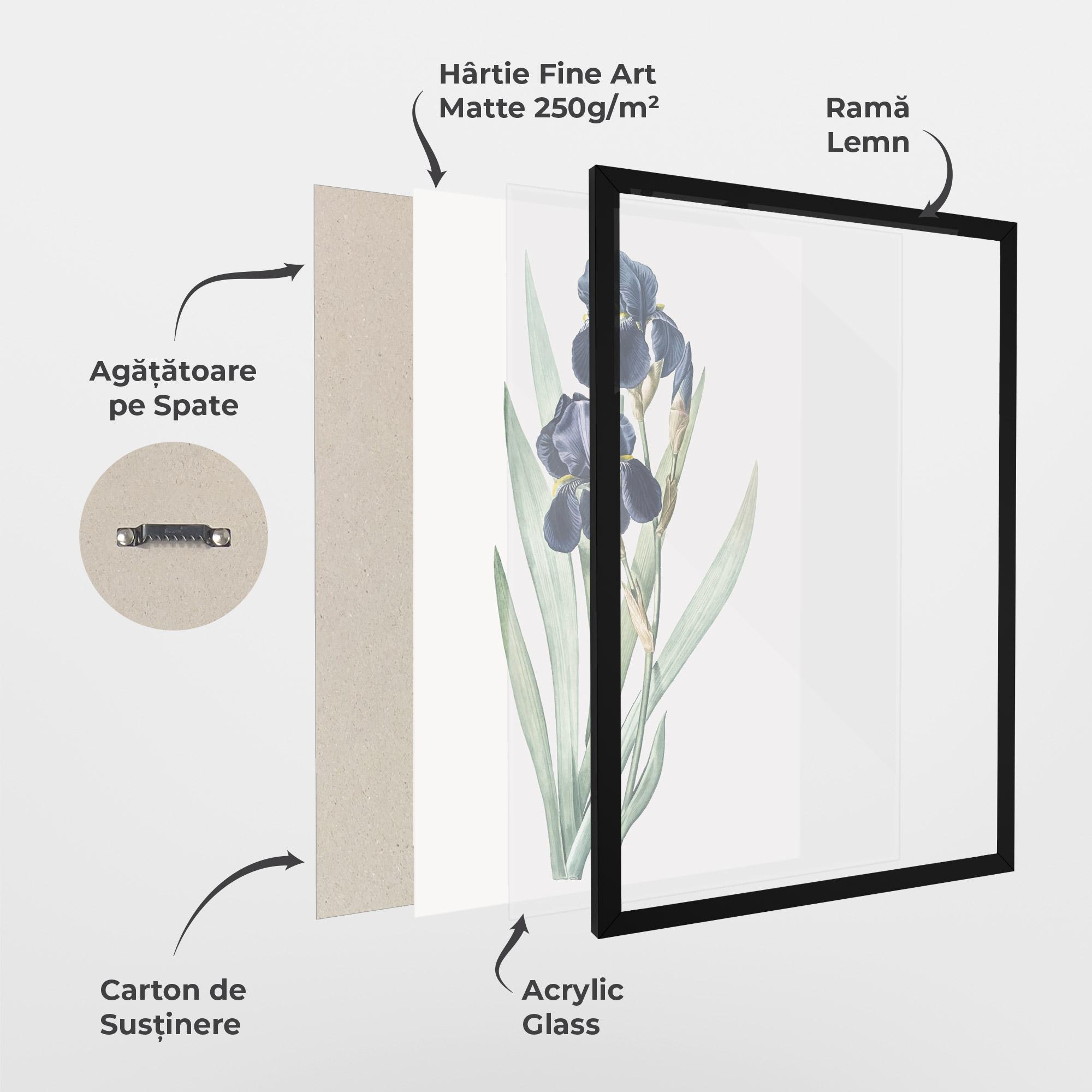 Poster Înrămat Dark Blue Iris mockup 1