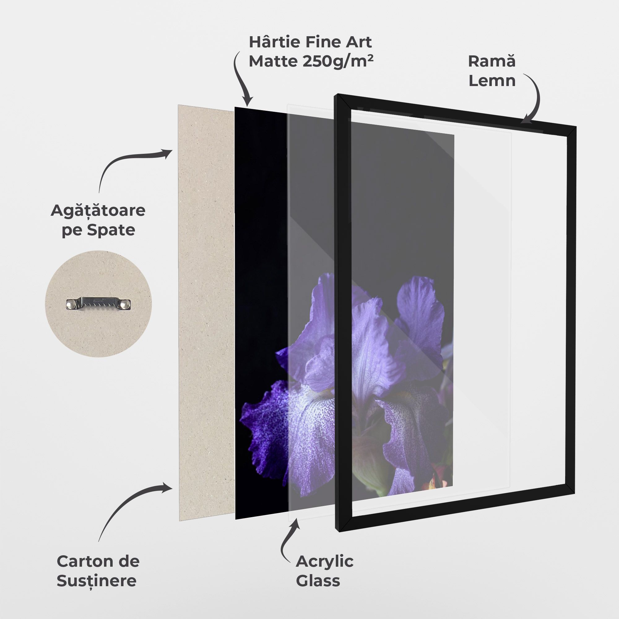 Dark Purple Iris On Black mockup 1