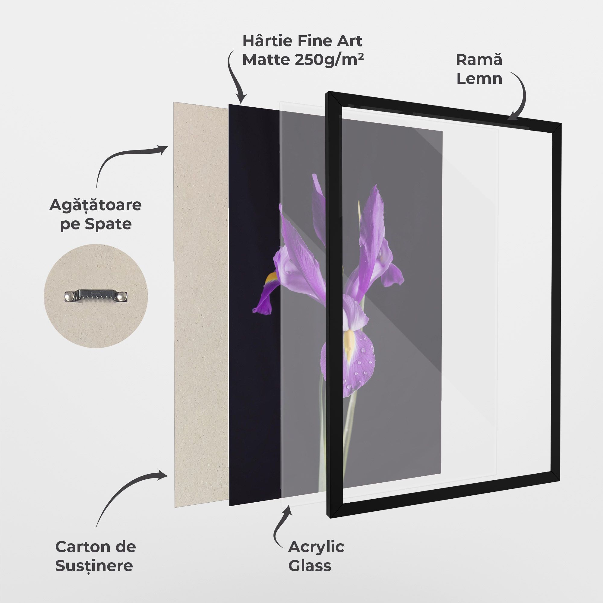 Fresh Purple Iris mockup 1