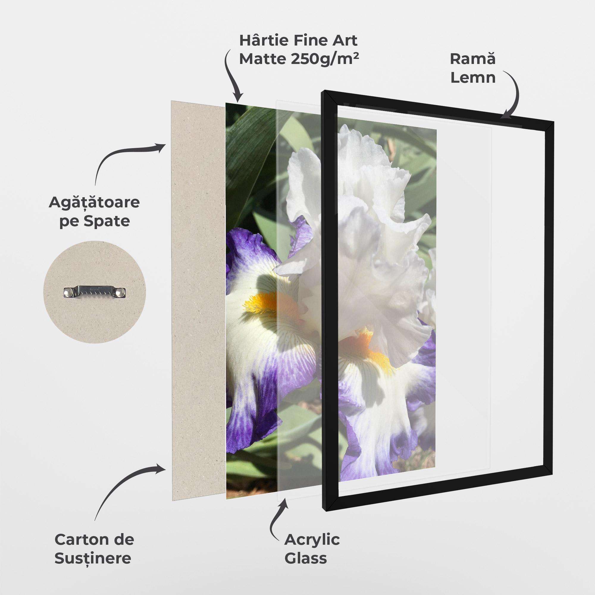 Poster Înrămat Garden White Purple Irirs mockup 1