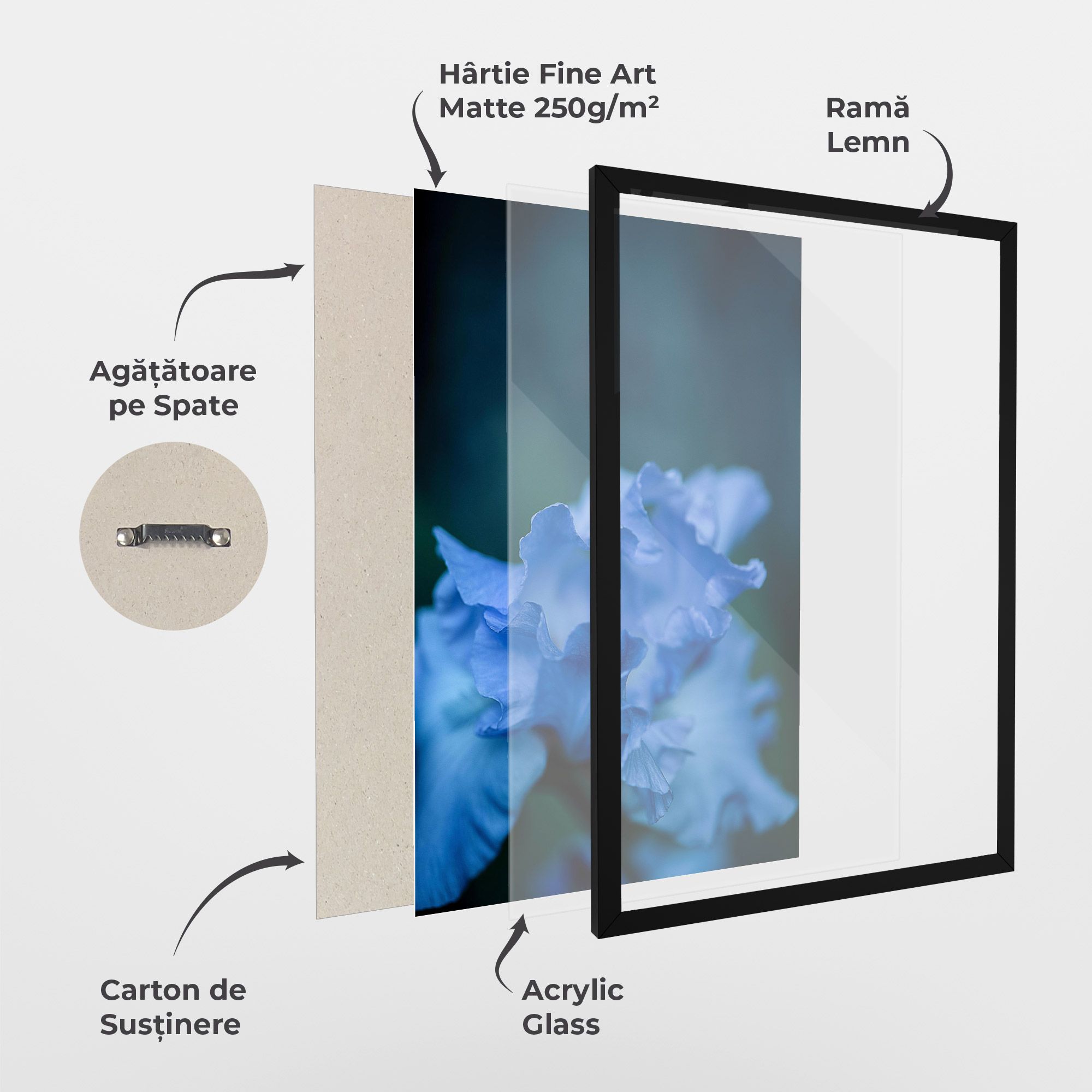 Ocean Blue Iris mockup 1