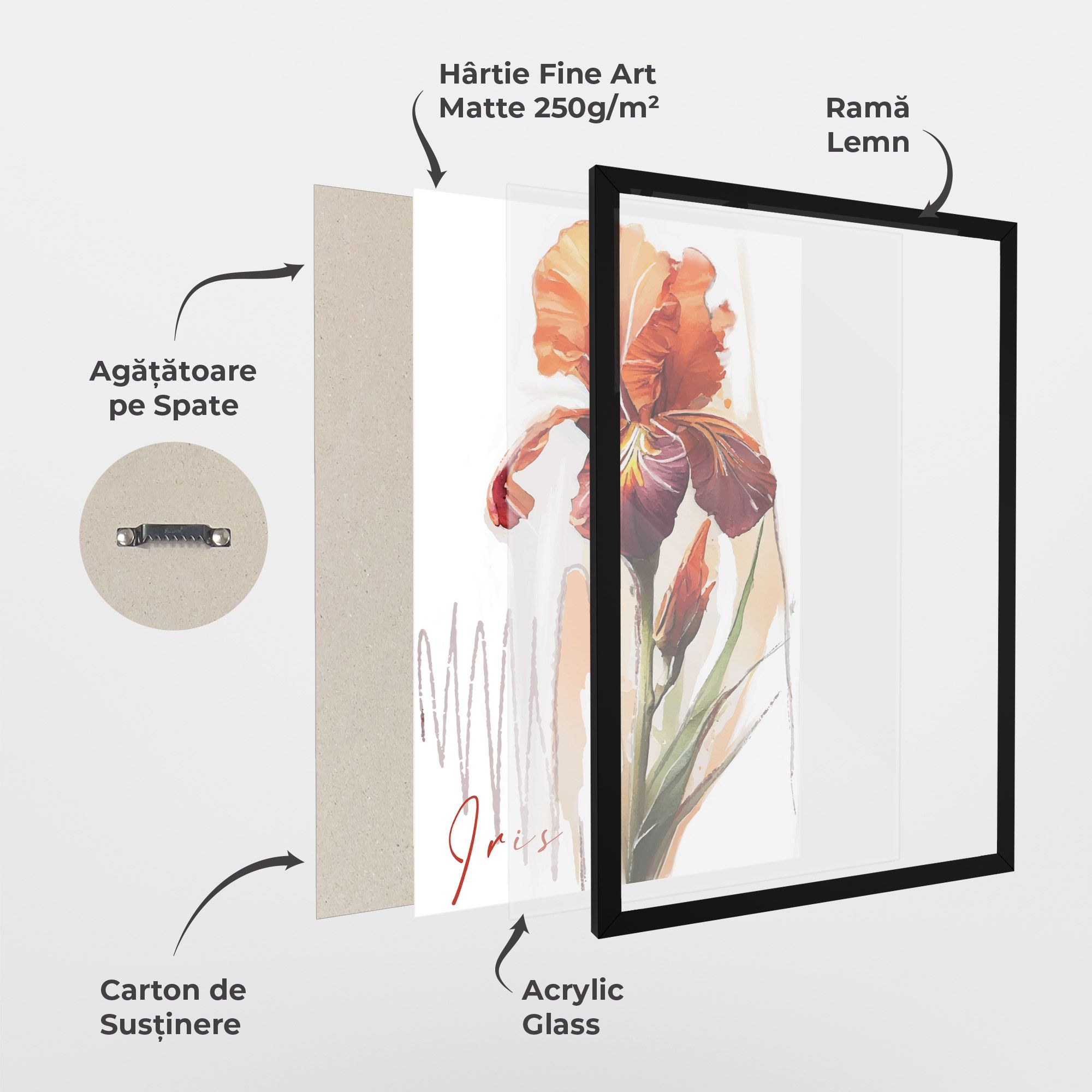 Orange Iris mockup 1